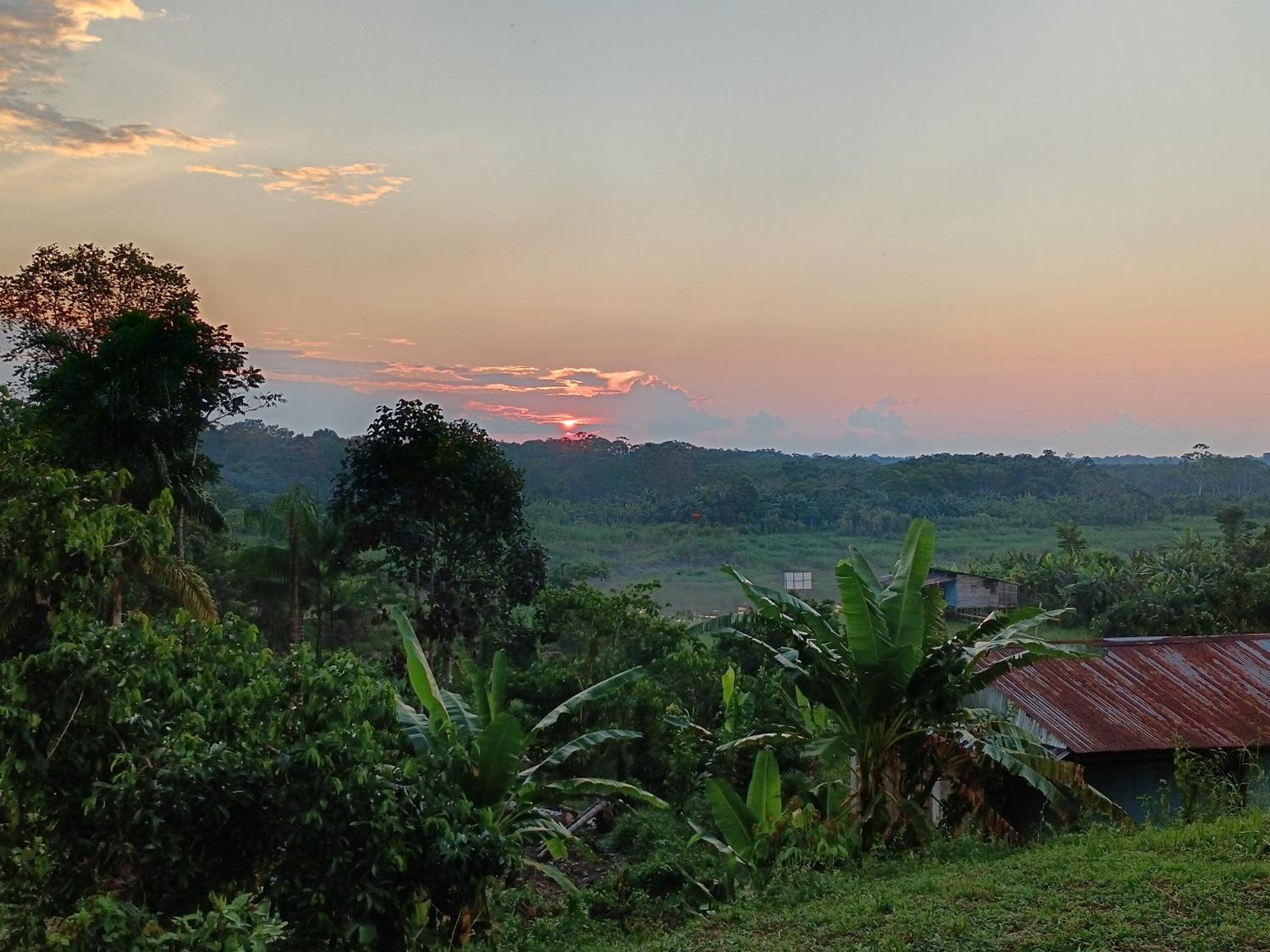 Ayatur iquitos