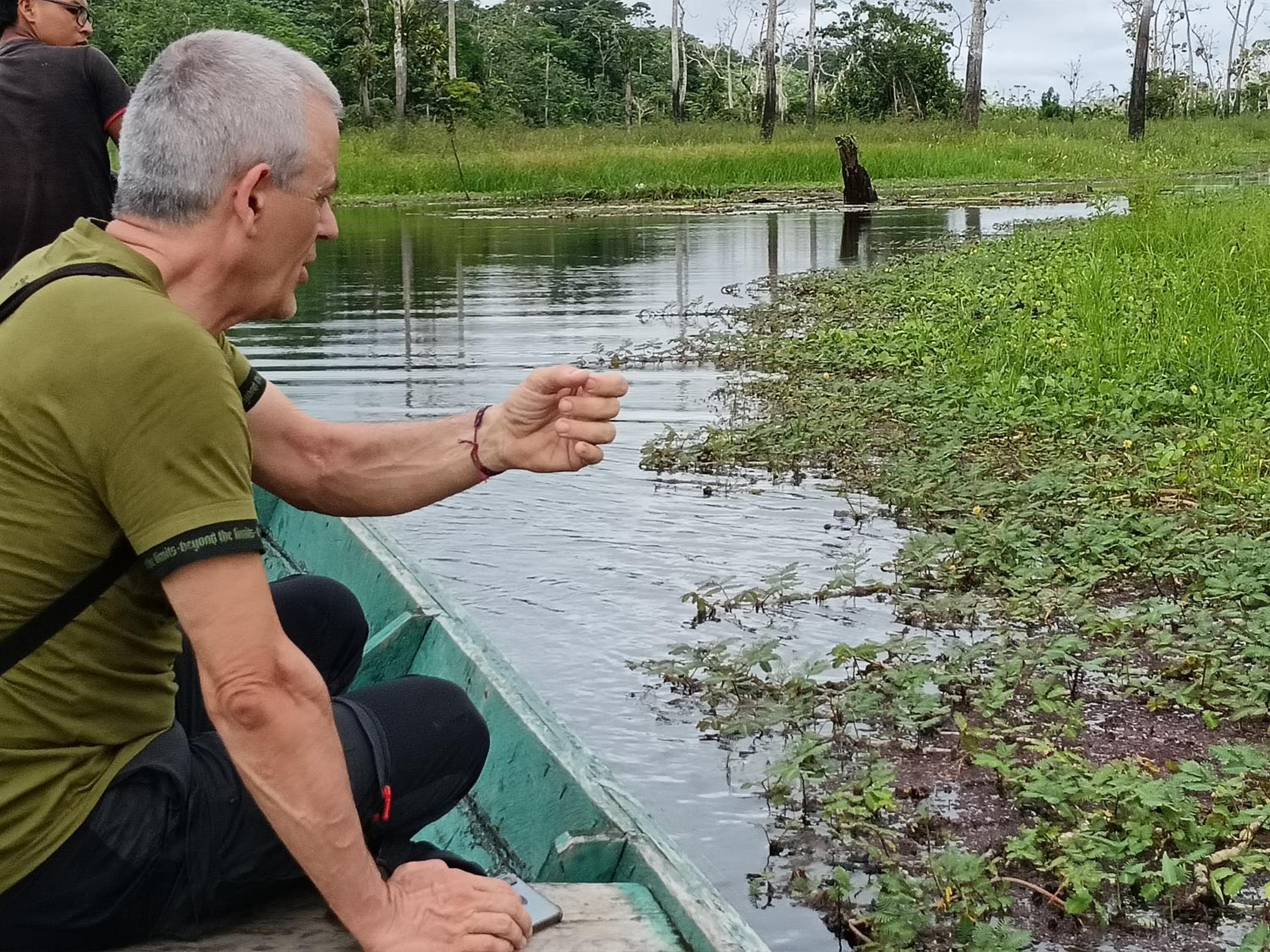 Ayatur iquitos