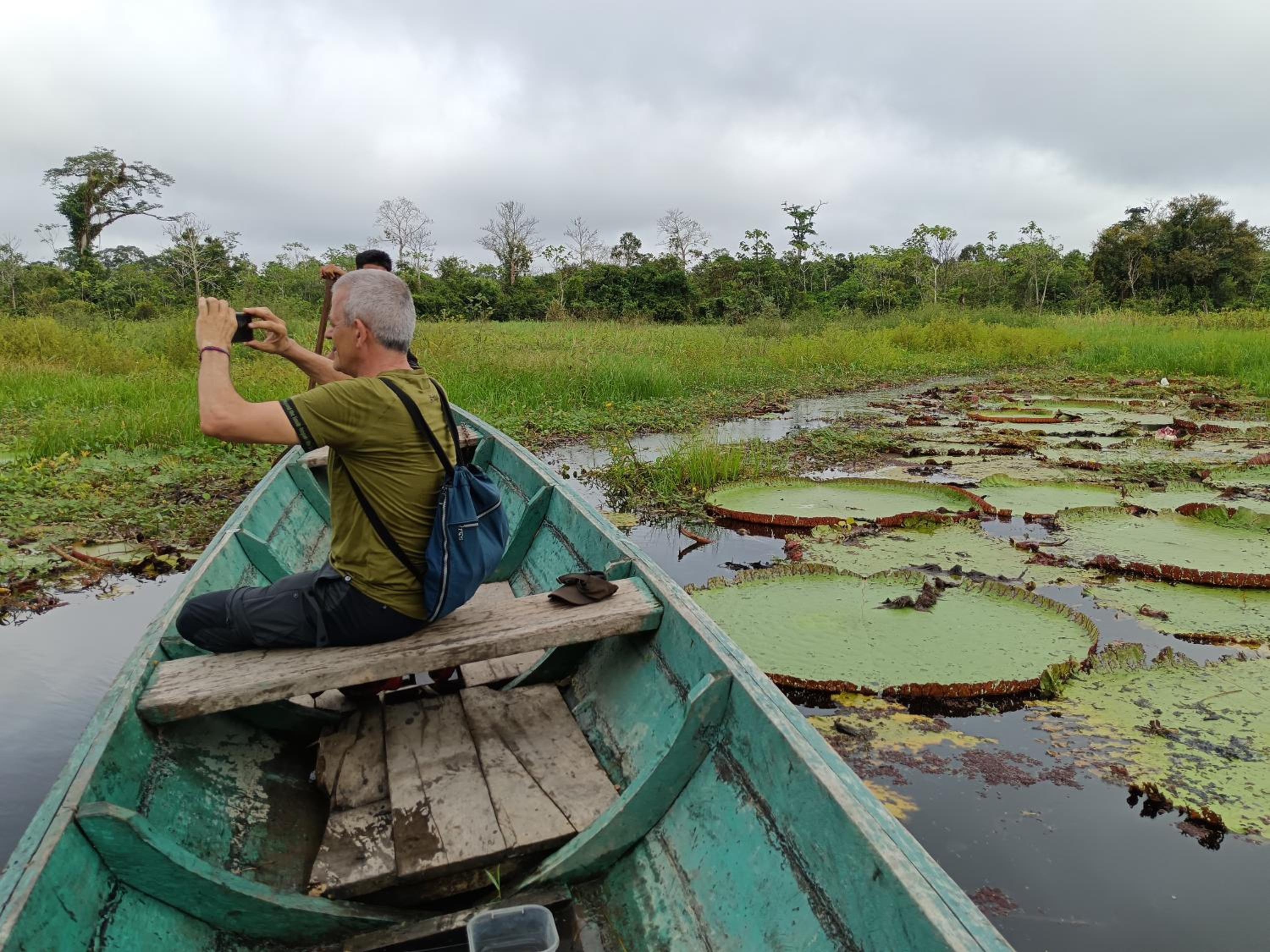 Ayatur iquitos