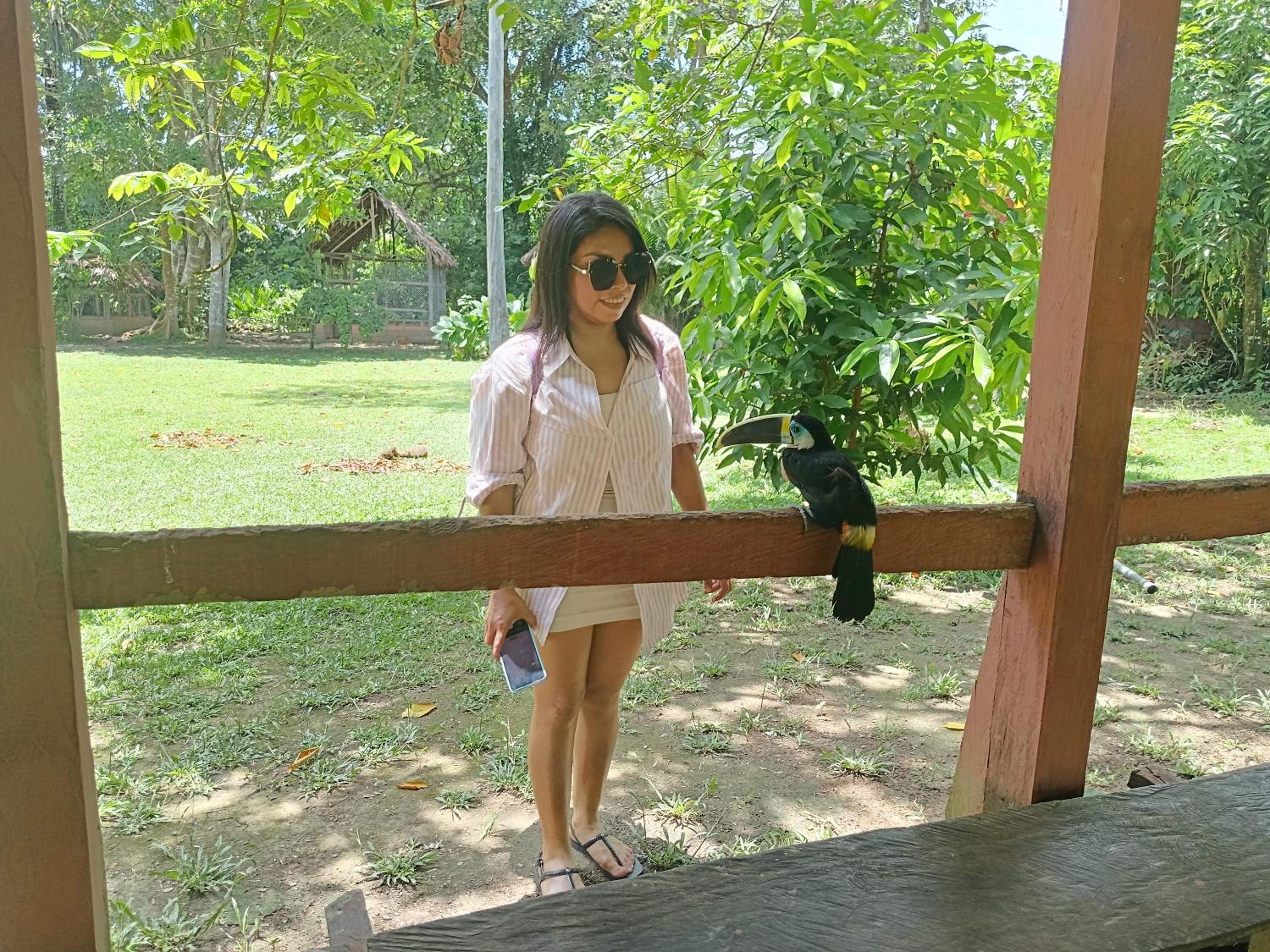 Ayatur iquitos