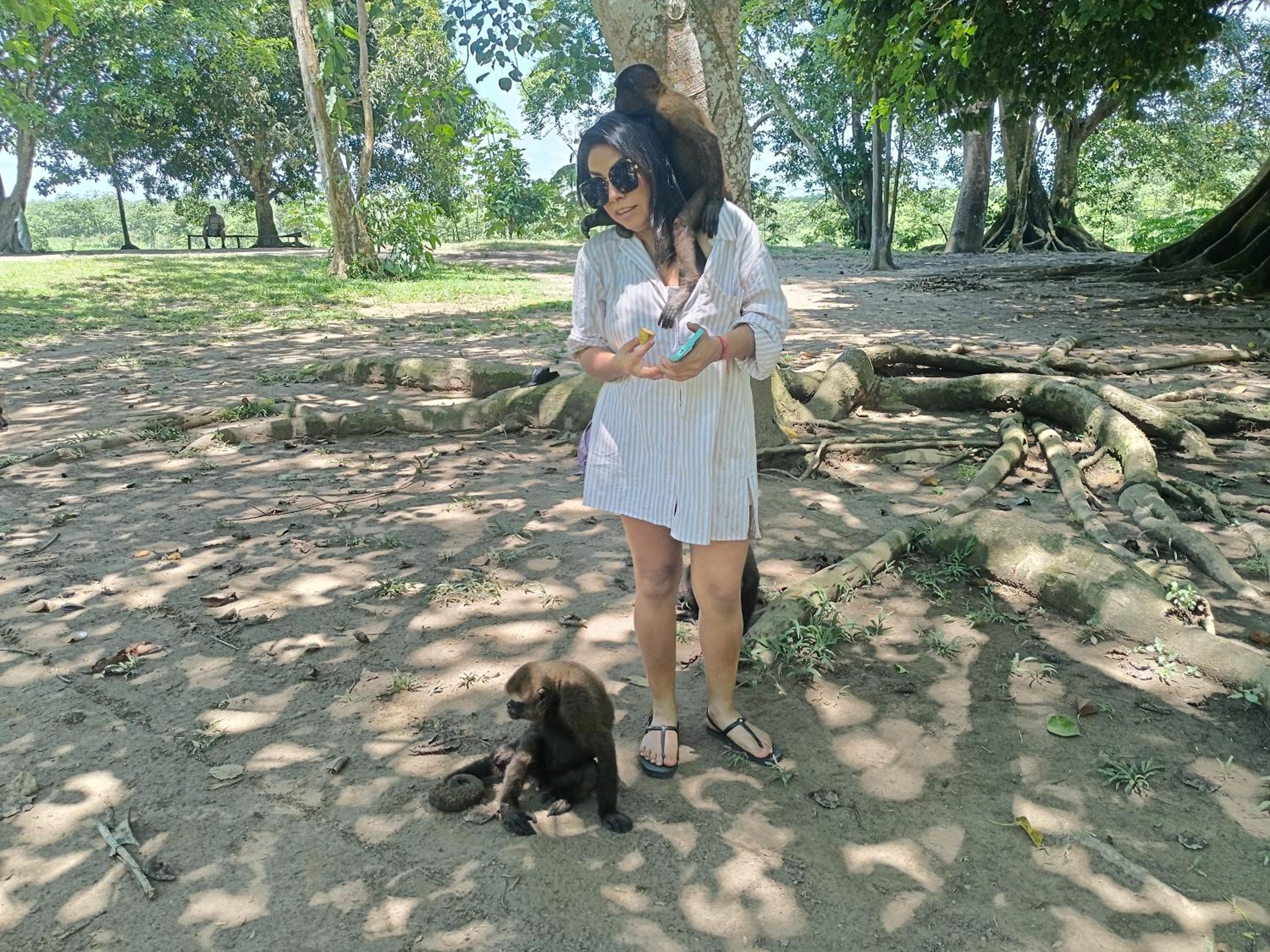 Ayatur iquitos