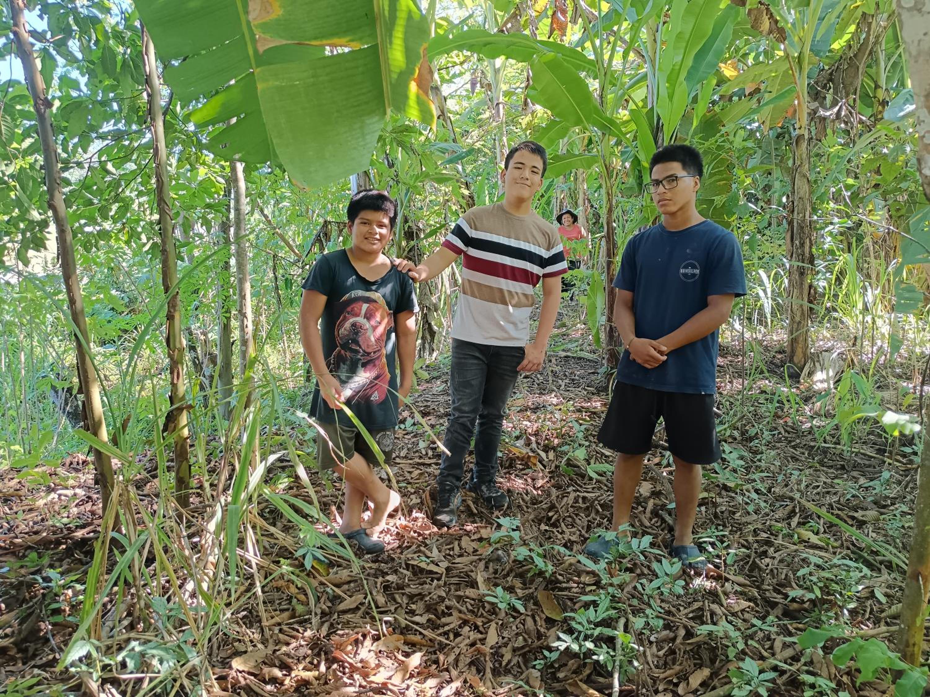 Ayatur iquitos