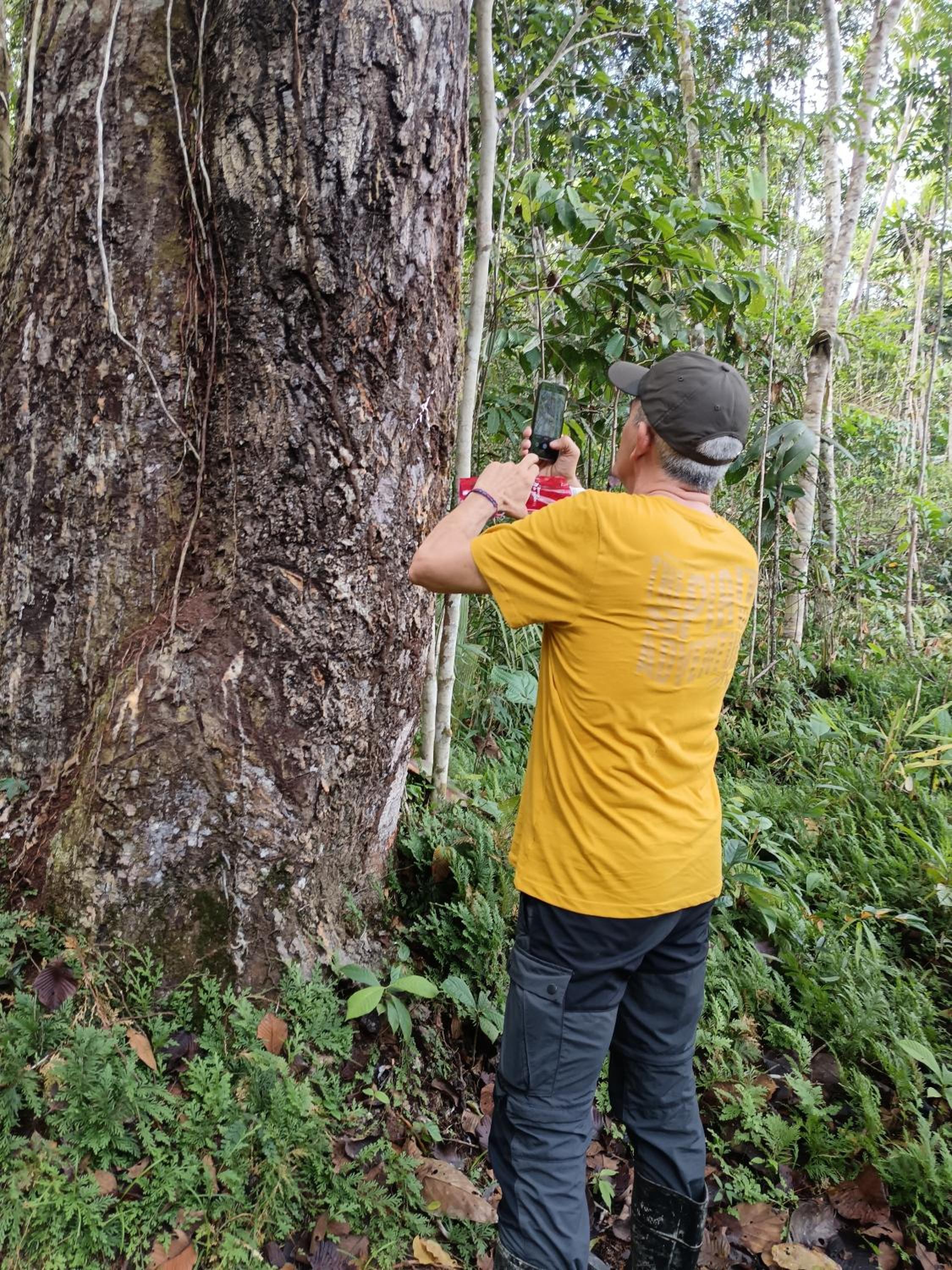 Ayatur iquitos
