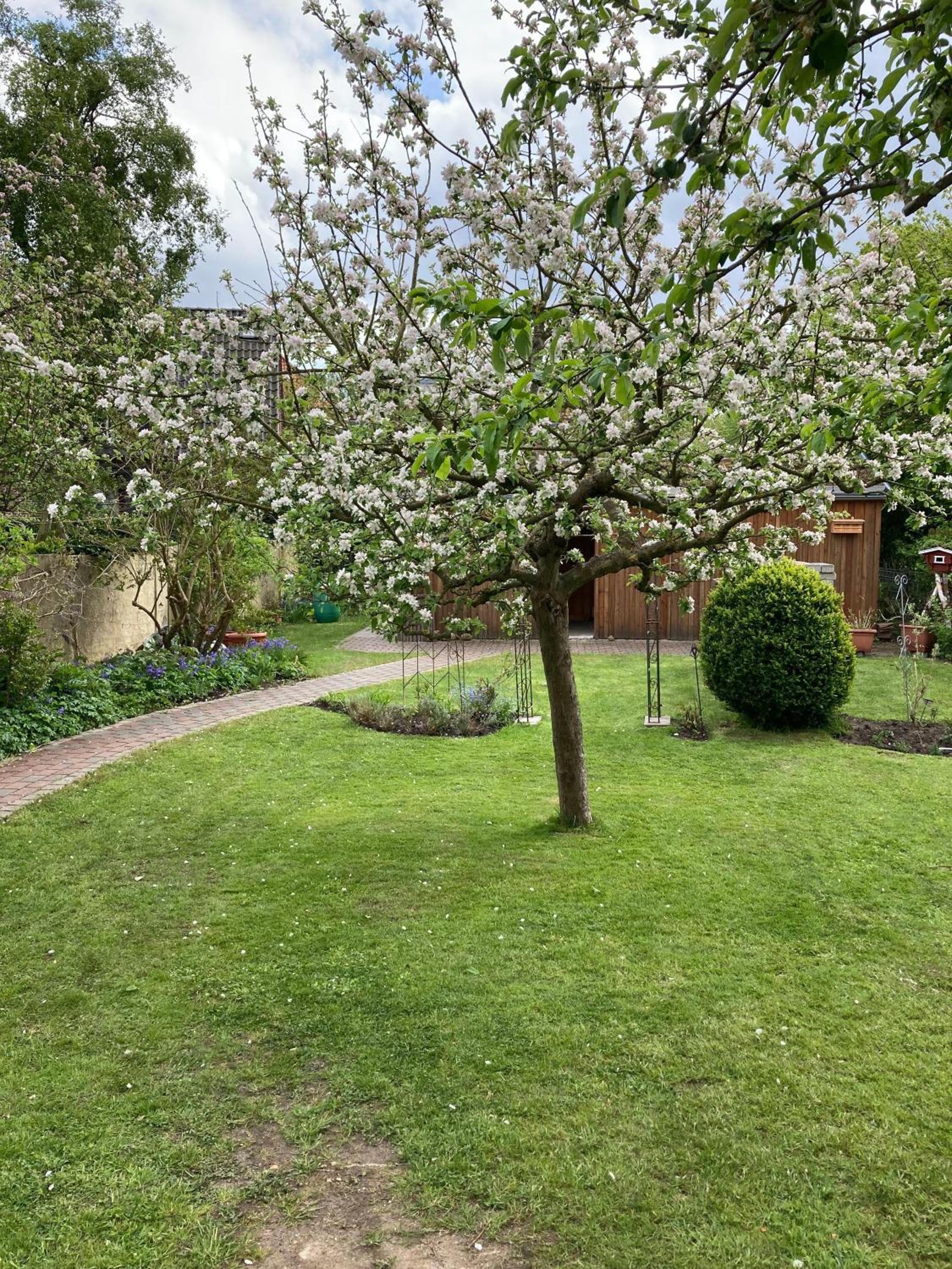 Charmante-Ferienwohnung-in-der-Fjordstadt