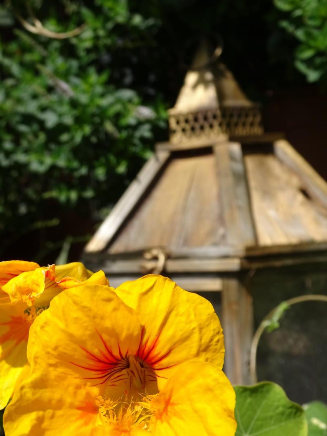 Pension Sonnhof