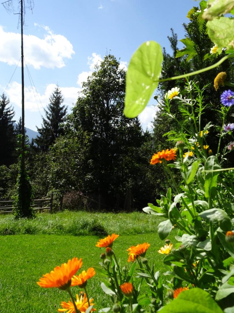 Pension Sonnhof