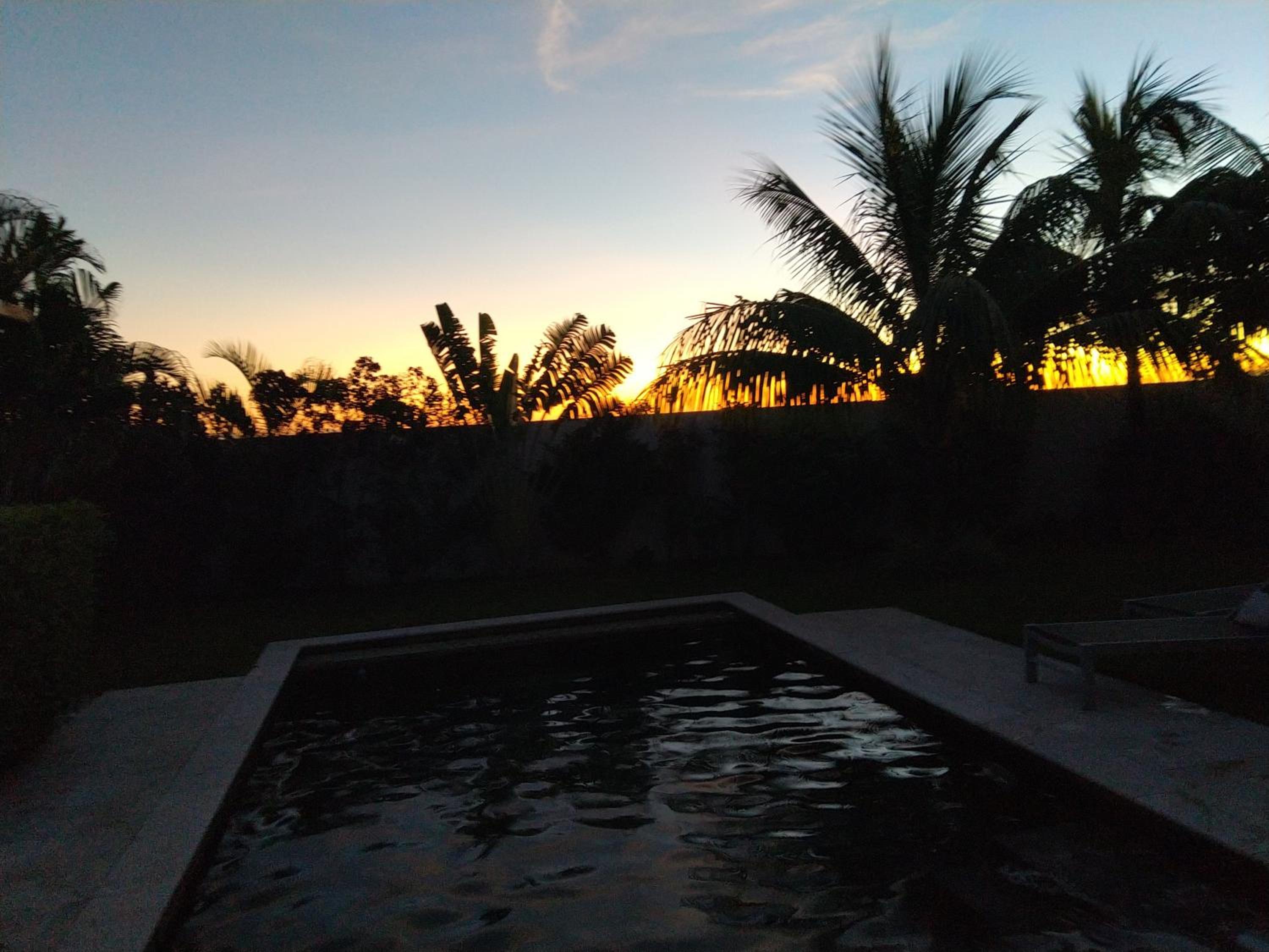 La Paisible de Palm Grove 2 view 4