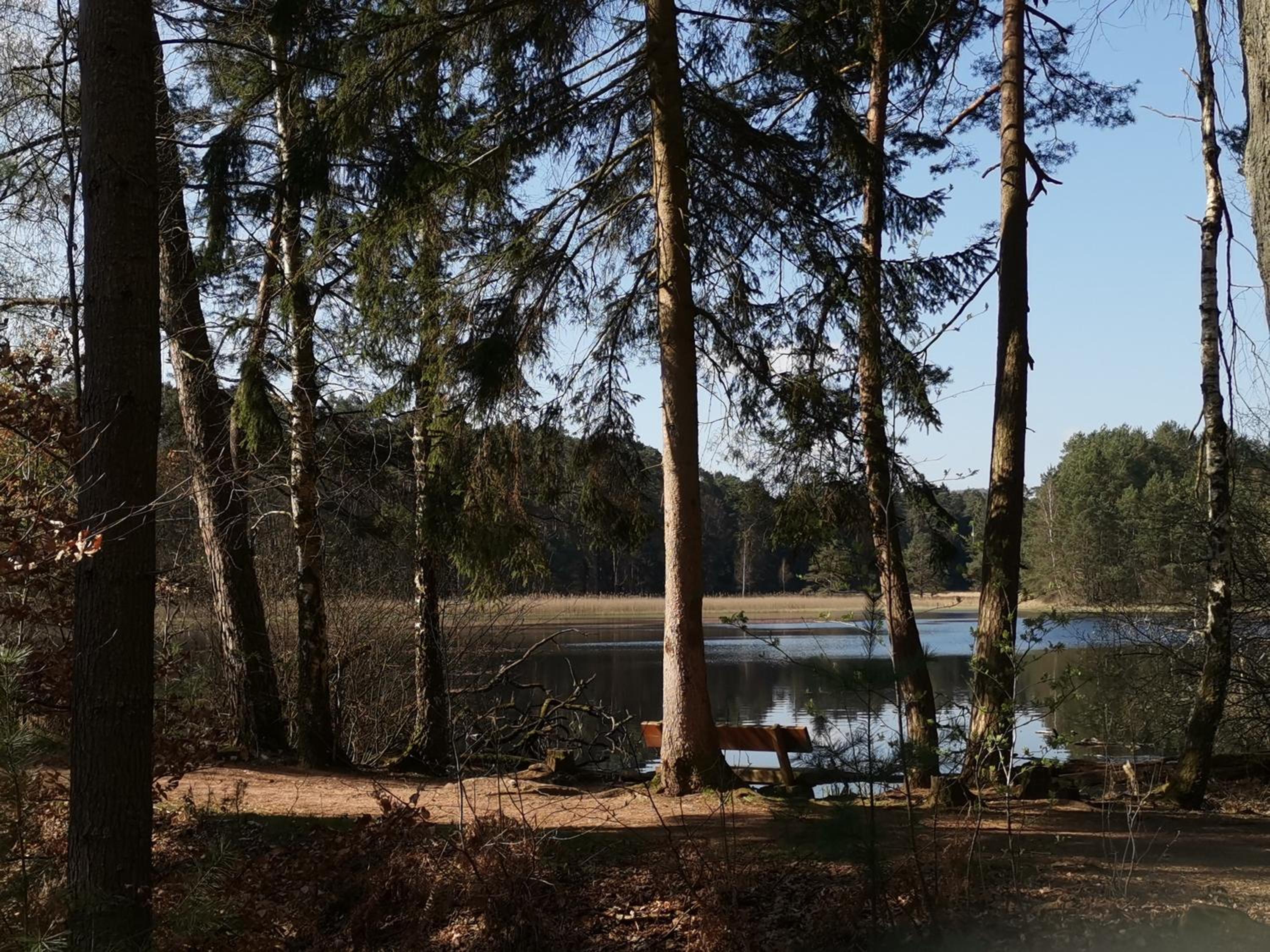 Ferienwohnungen 'Blick Zur Madonna' - Property Image 40