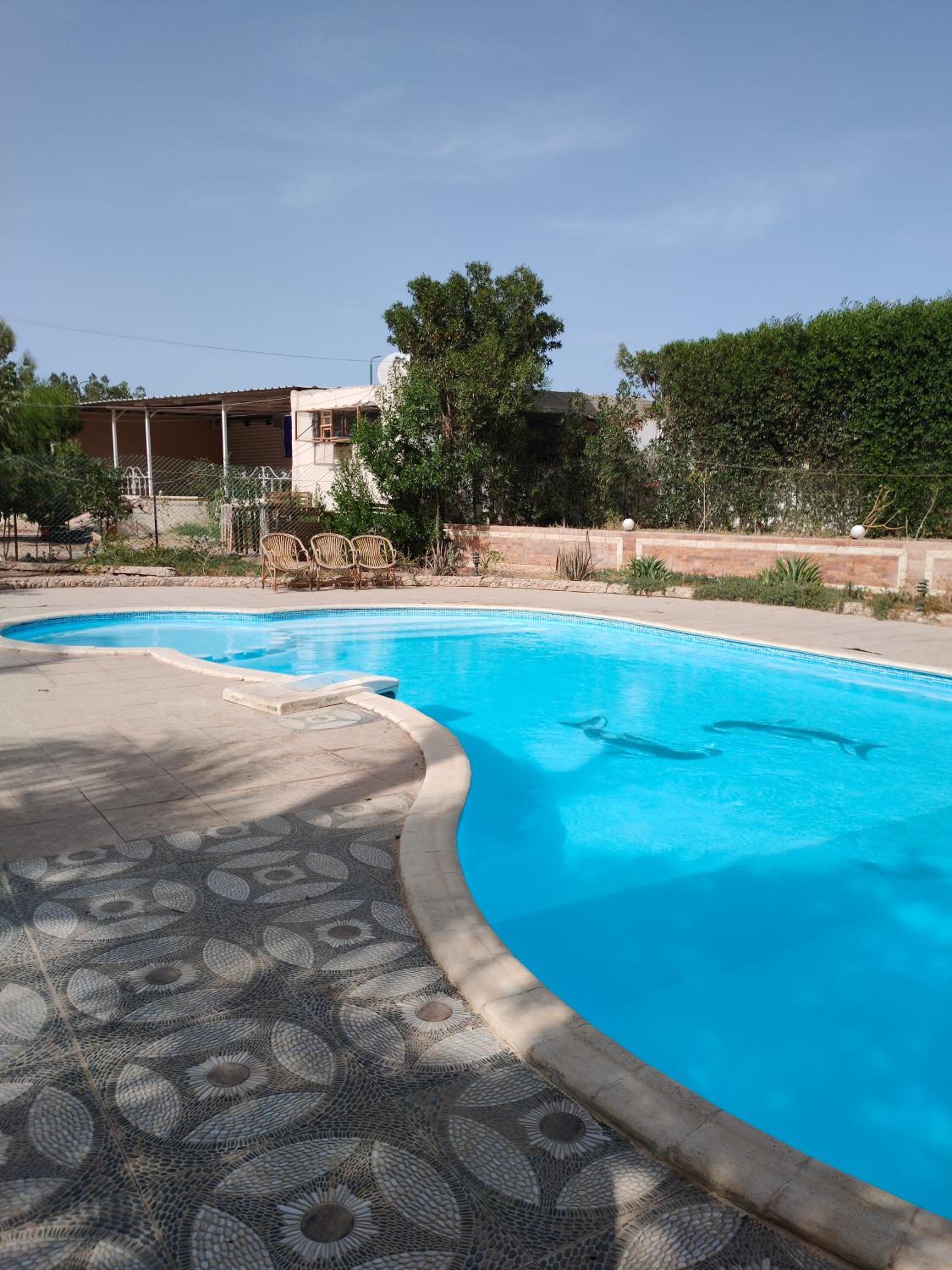 Lux Gardenhouse pool WiFi Private garden Hurghada