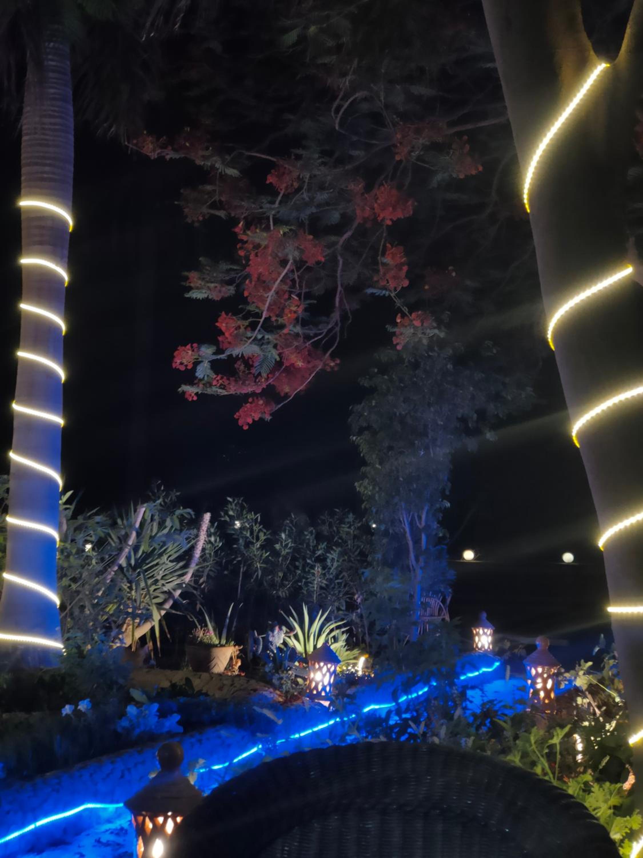 Lux Gardenhouse pool WiFi Private garden Hurghada