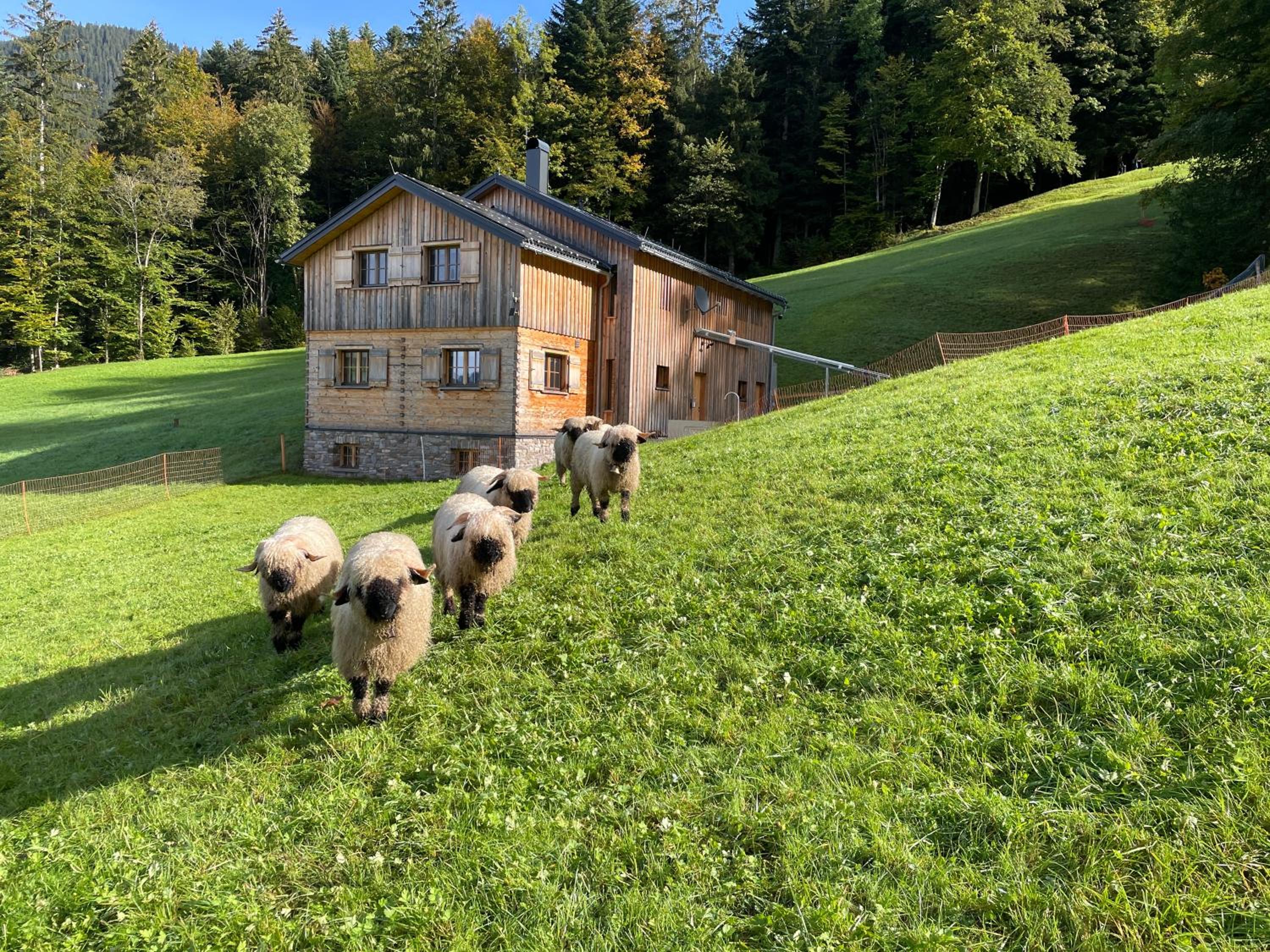 Hirschberghütte
