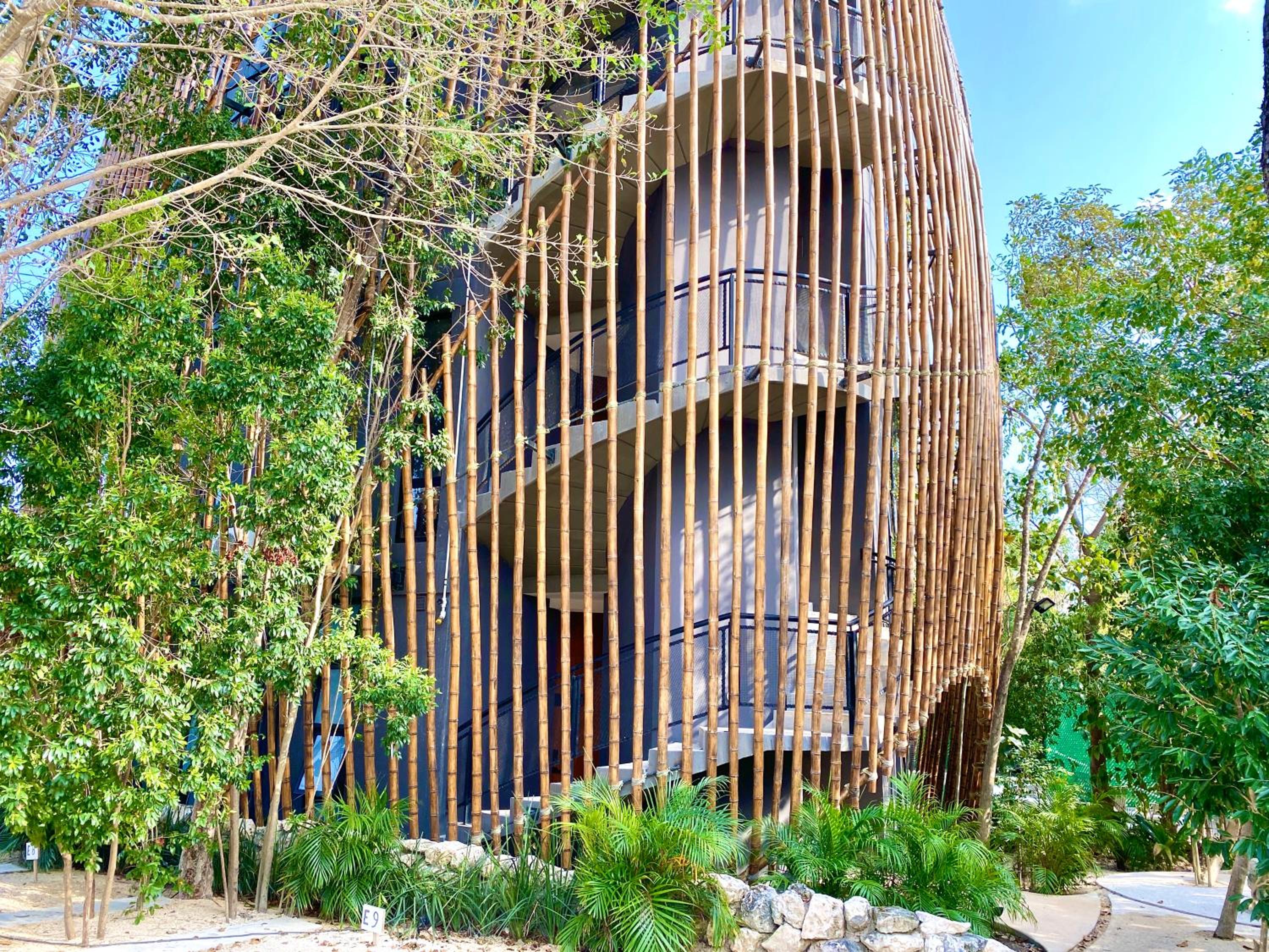 Living in the Noom by Andiani
