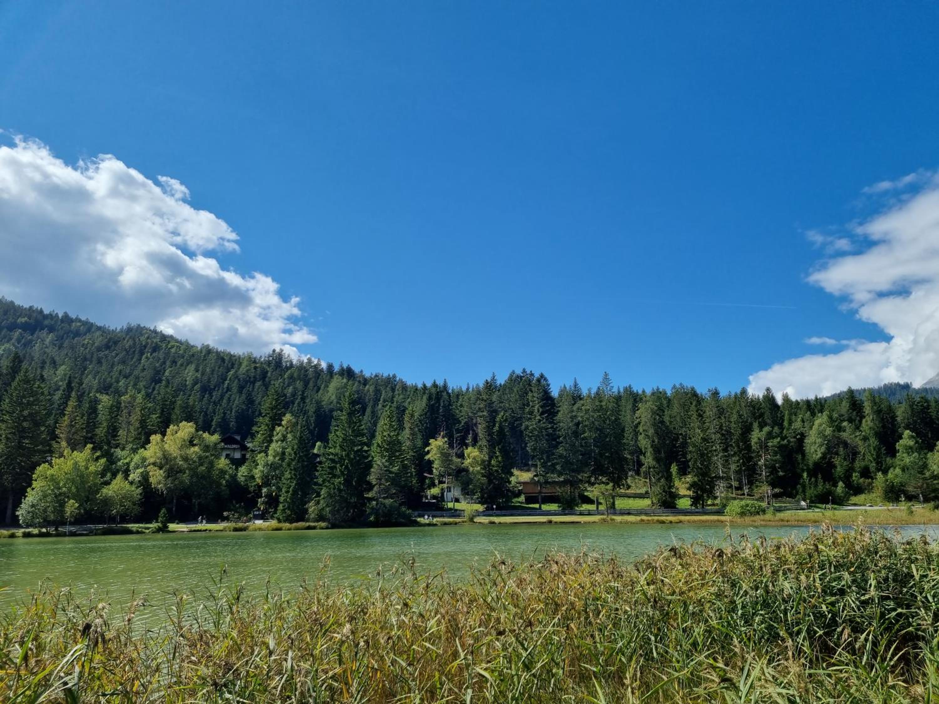 Appartement Bergsee SUN - am Wildsee - atemberaubende Aussicht