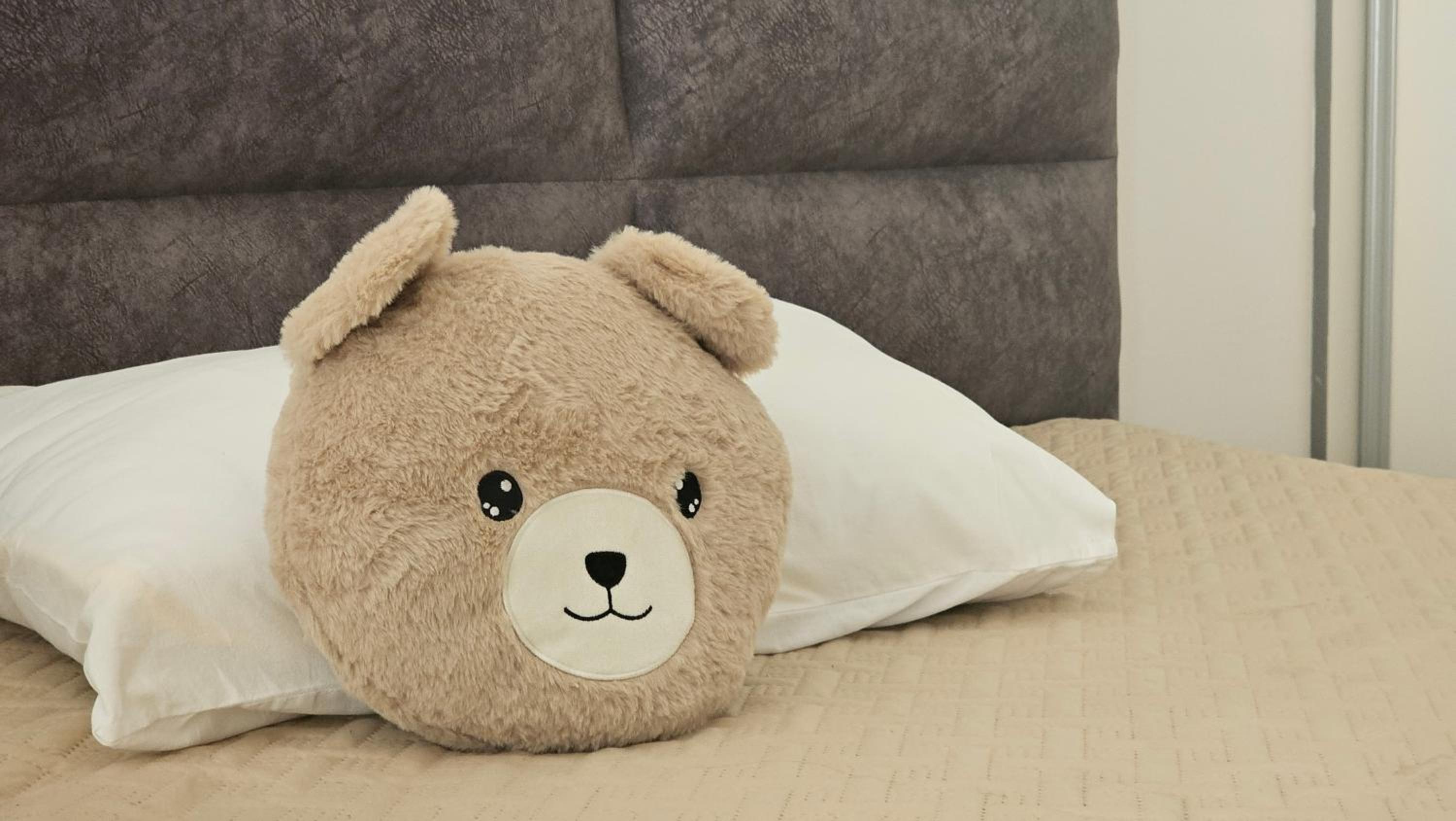 Apartment Teddy