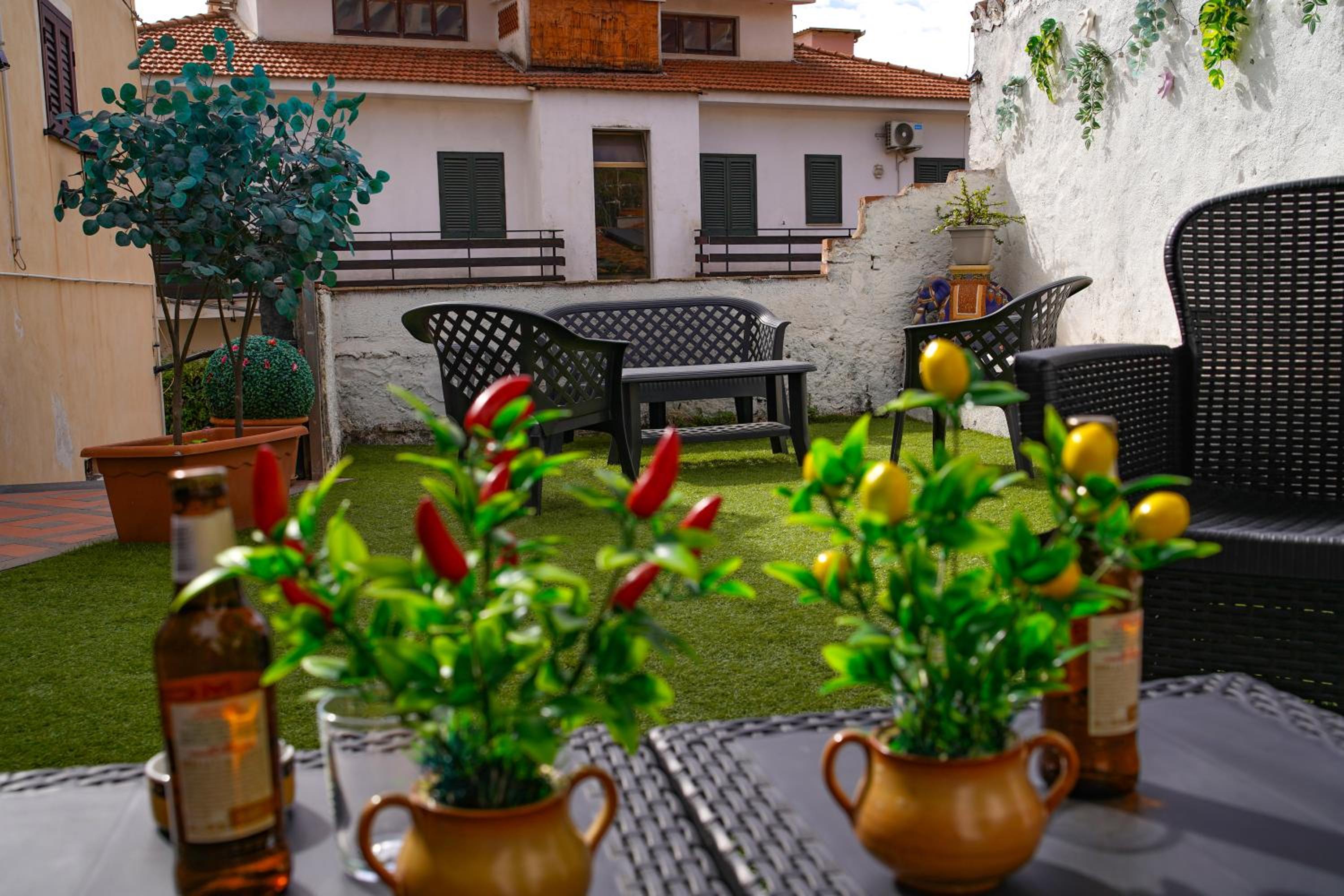 balance & terrace