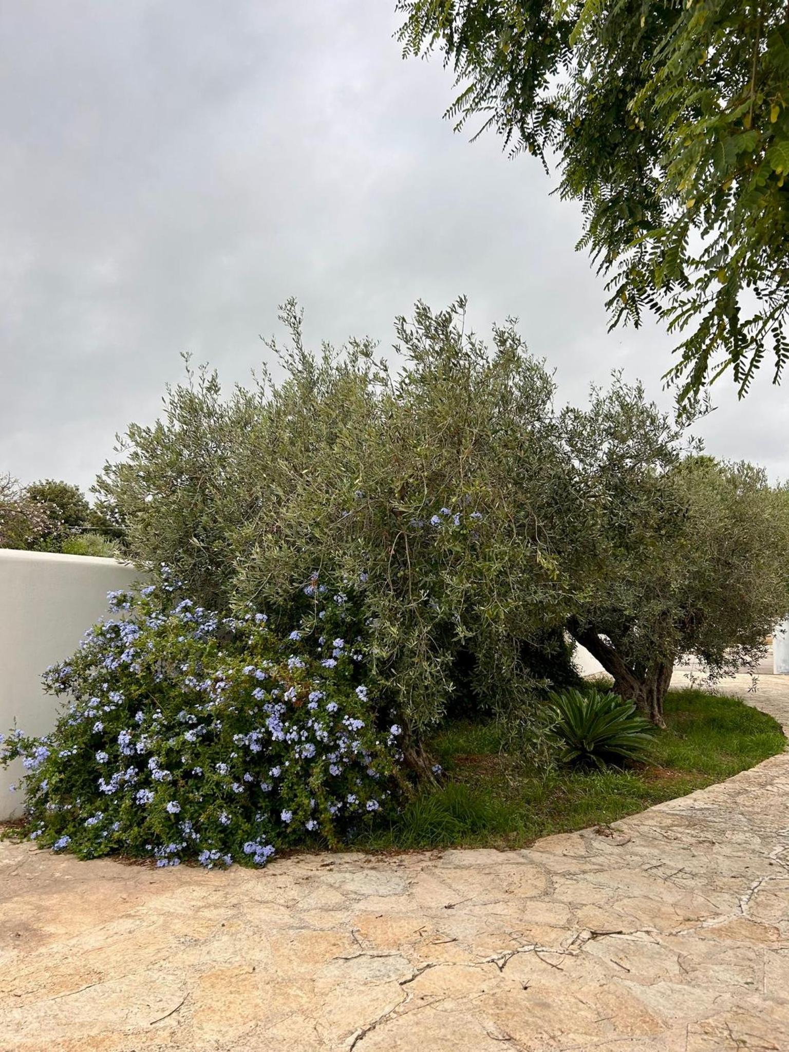 Villa Antonella