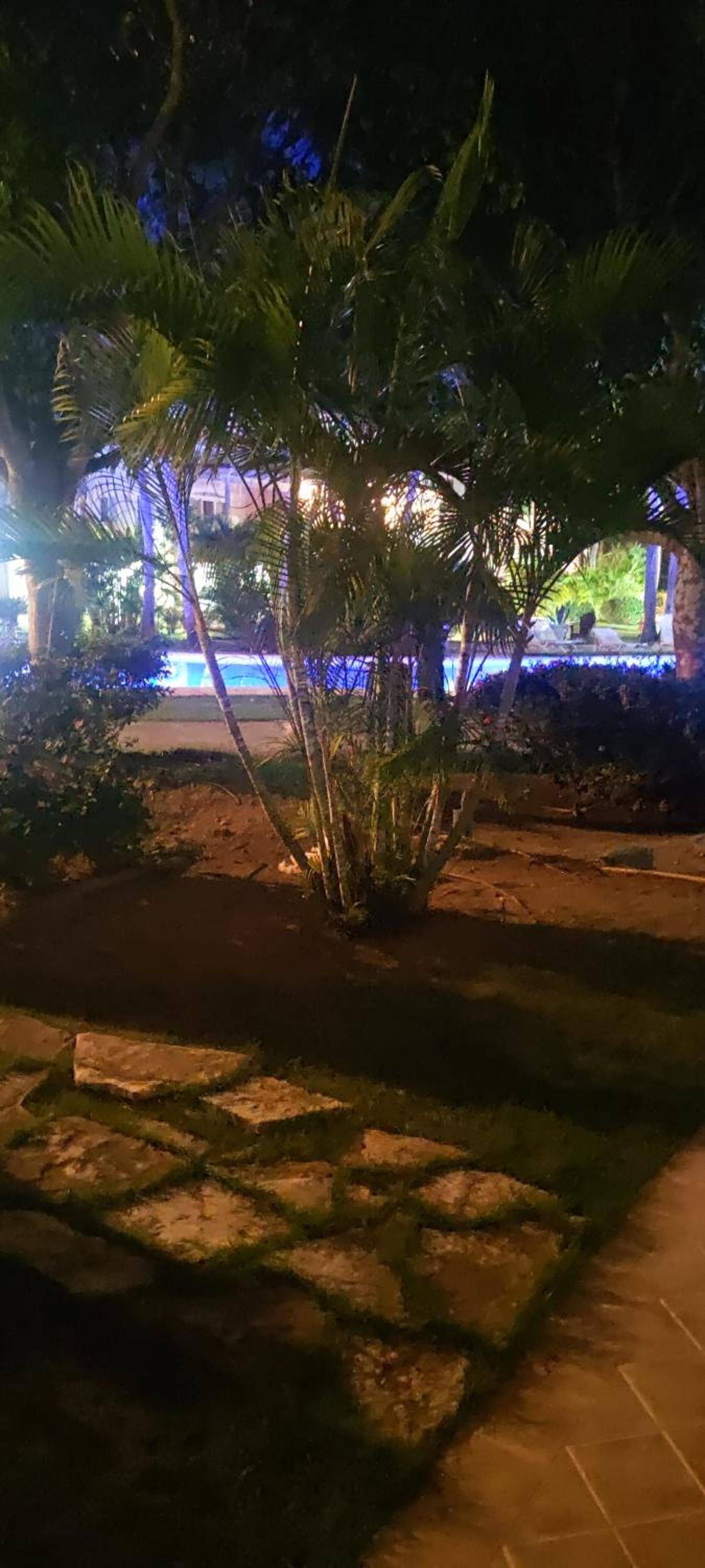 Caribe Home Dominicus Oleandra 3