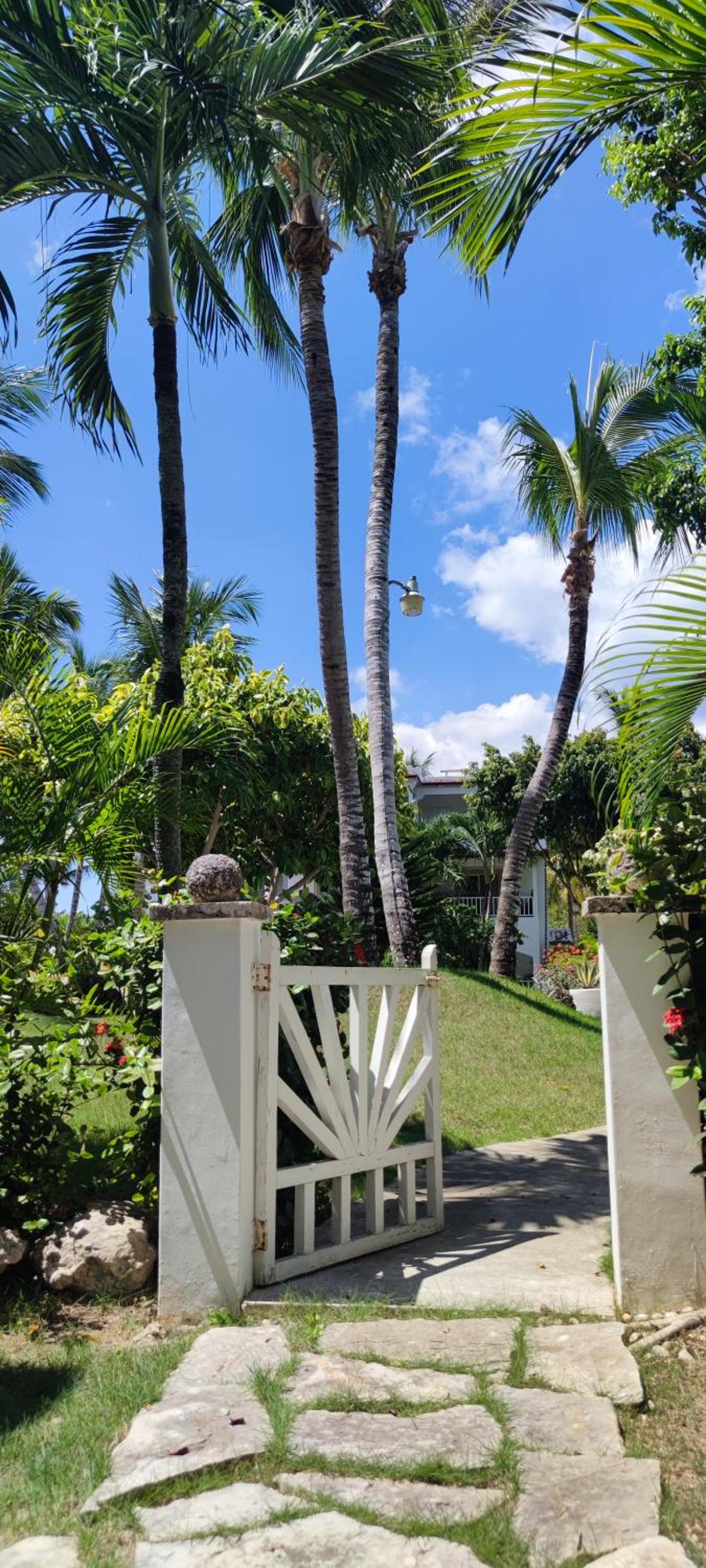 Caribe Home Dominicus Oleandra 3