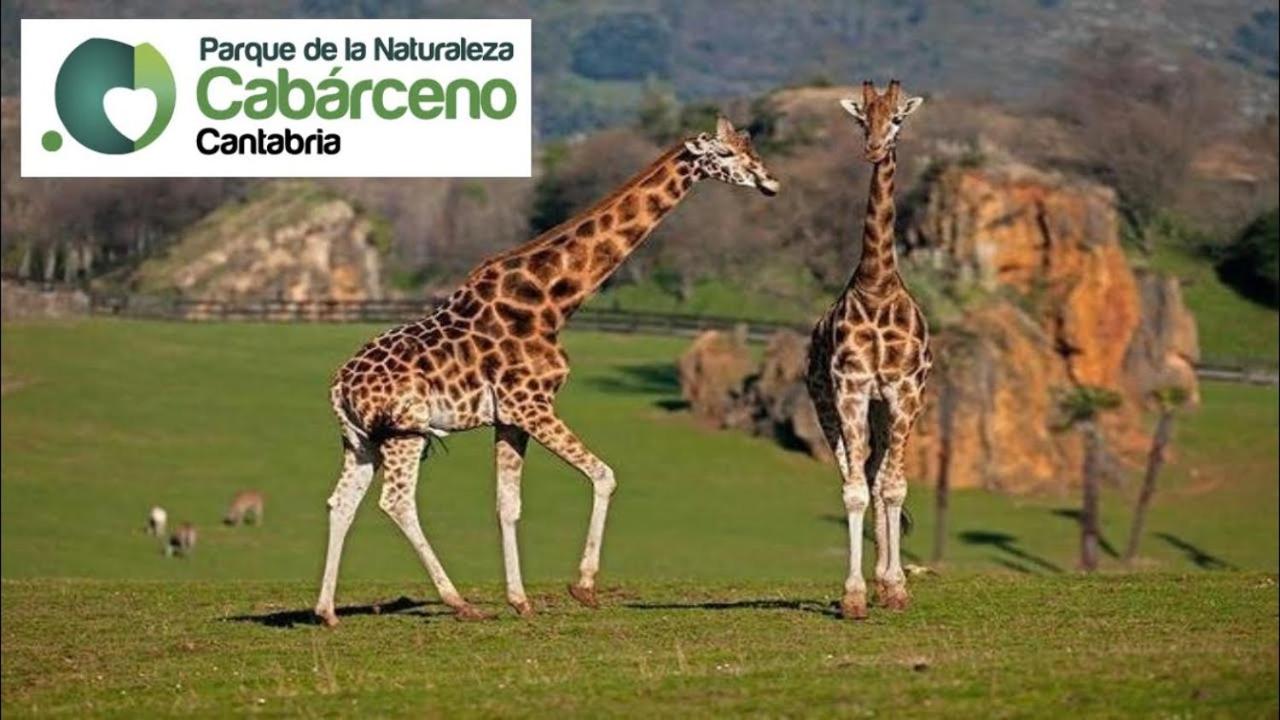 Los Caserios