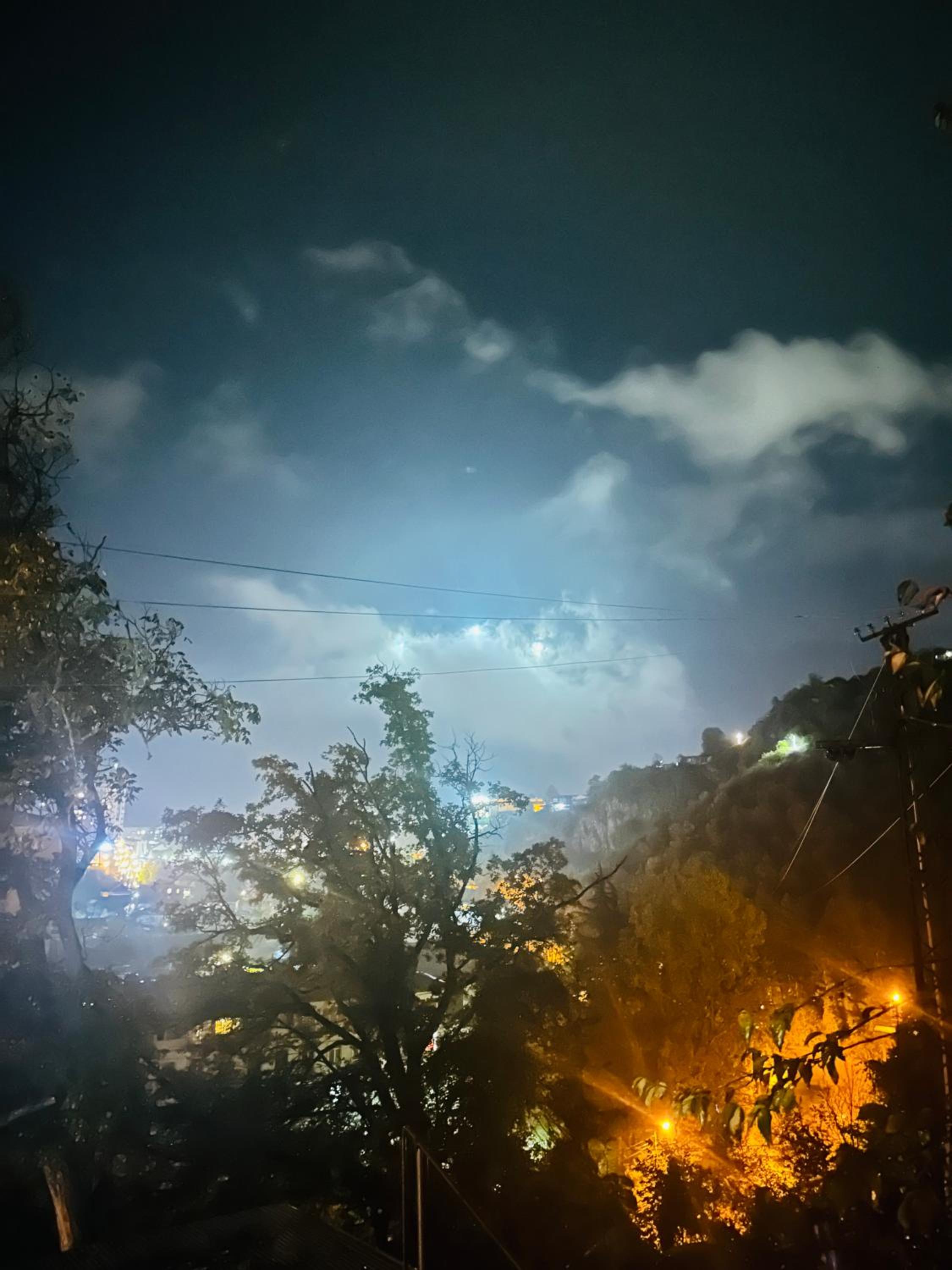 Borjomi forest view 3