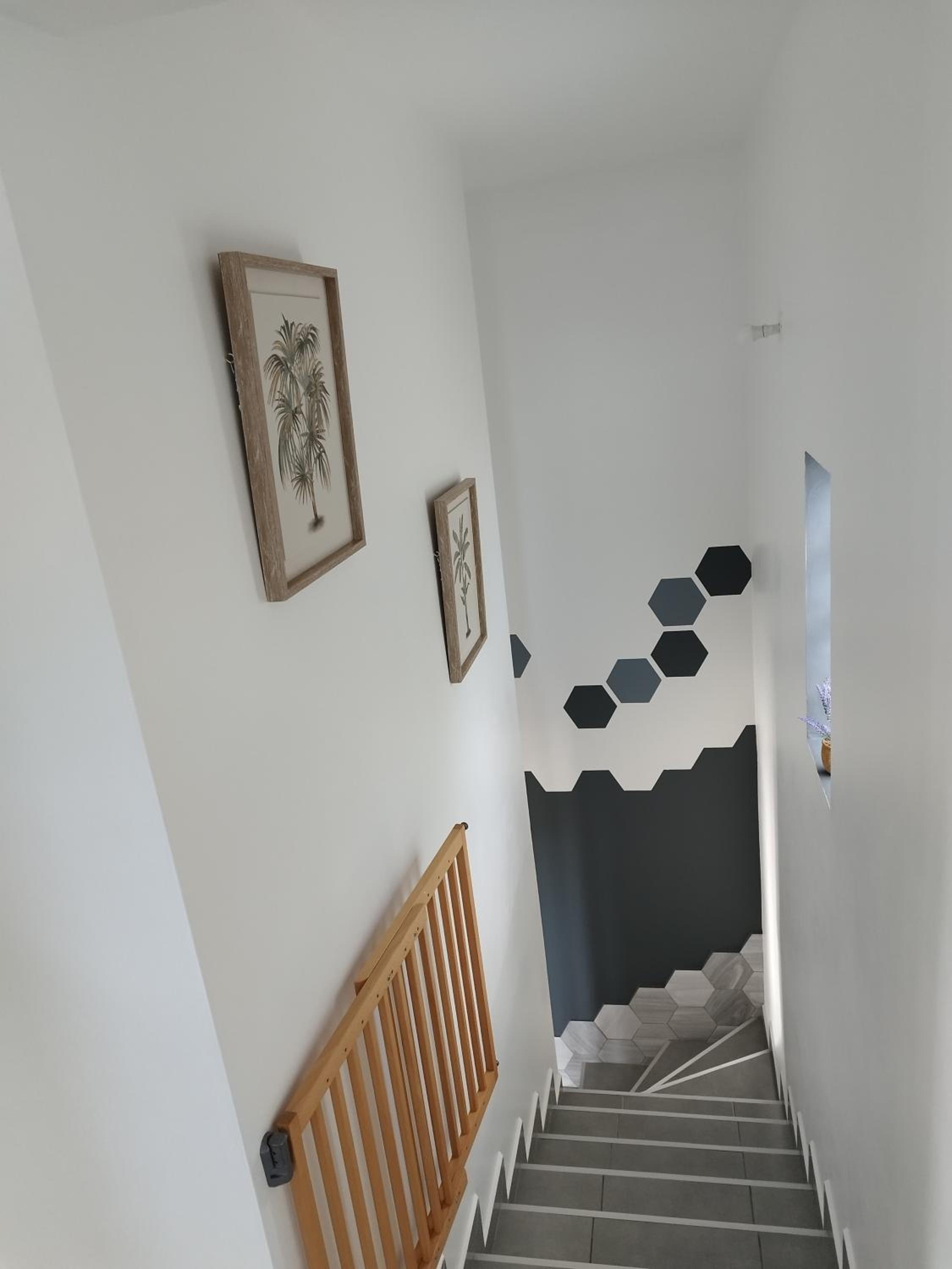 Maison M'raude sauvage view 5