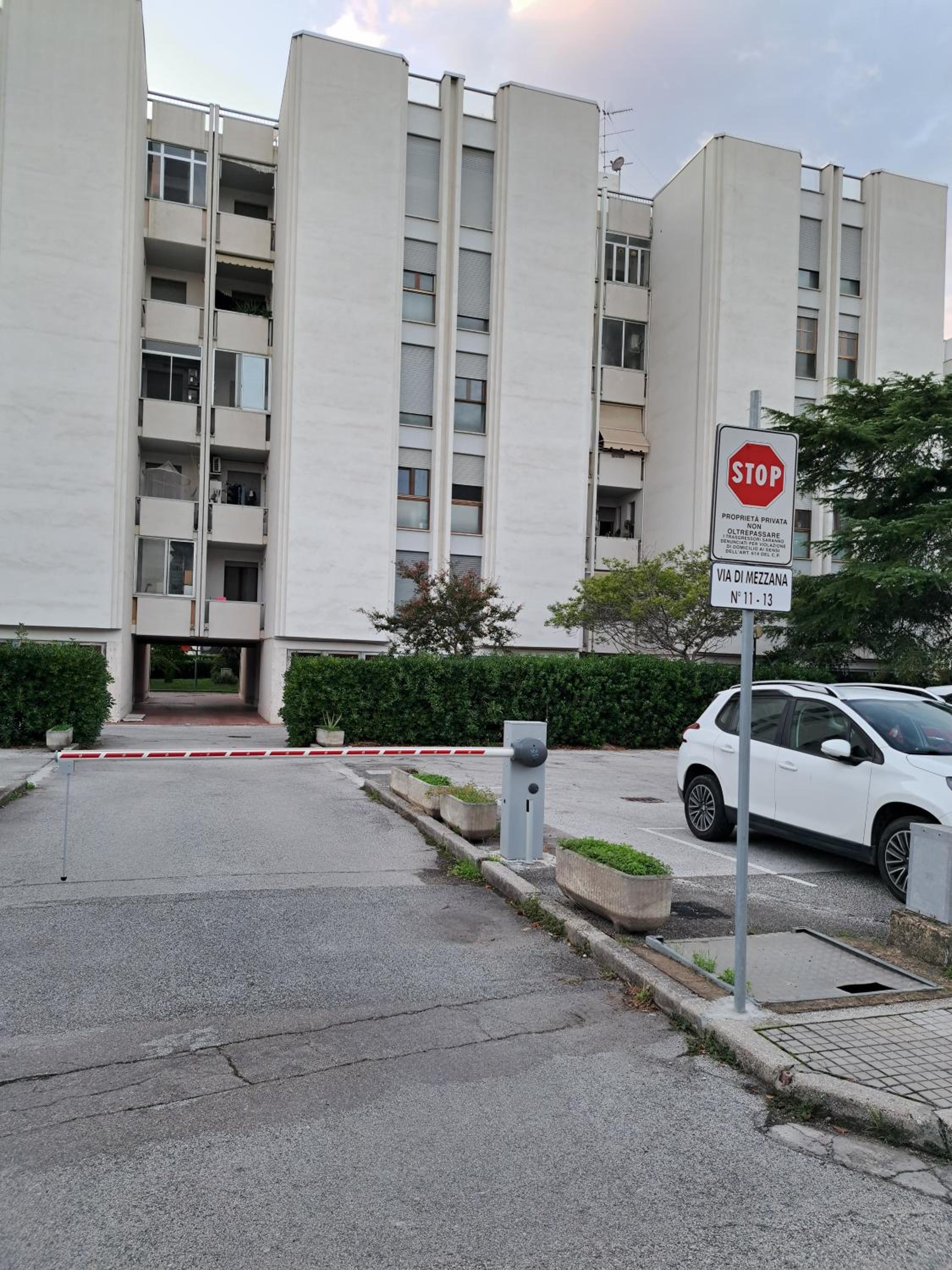 Coccinella Verde photo 2