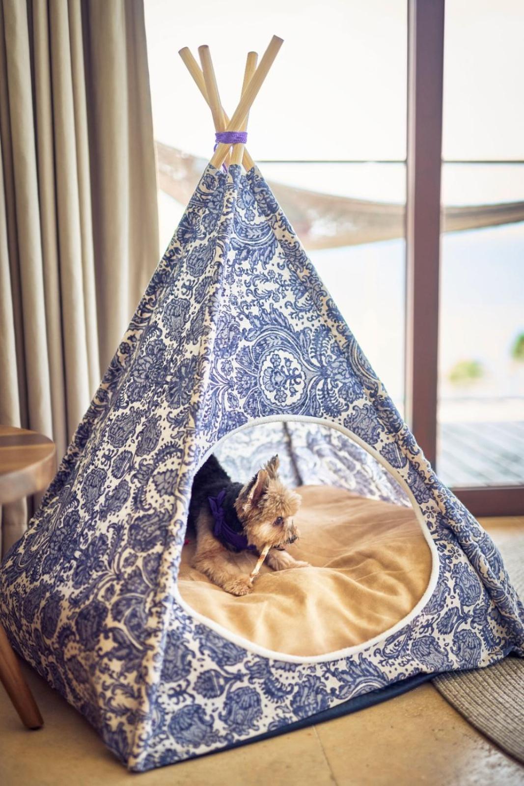 Hotel Xcaret Arte - All Parks All Fun Inclusive - Adults Only - Property Image 27