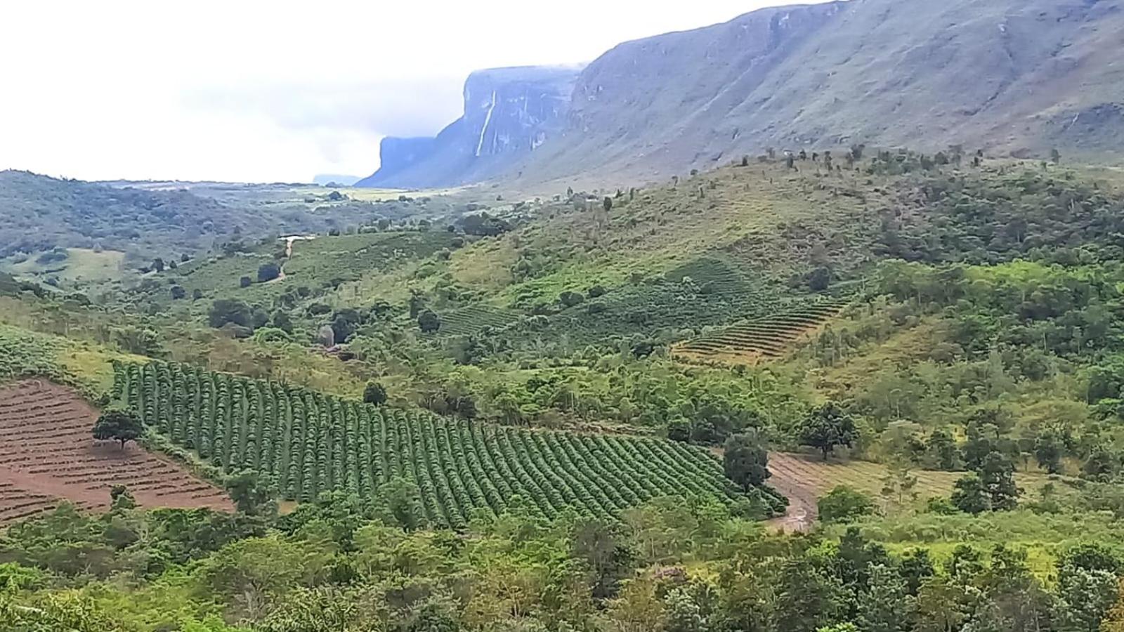 Chalés Canto da Graúna
