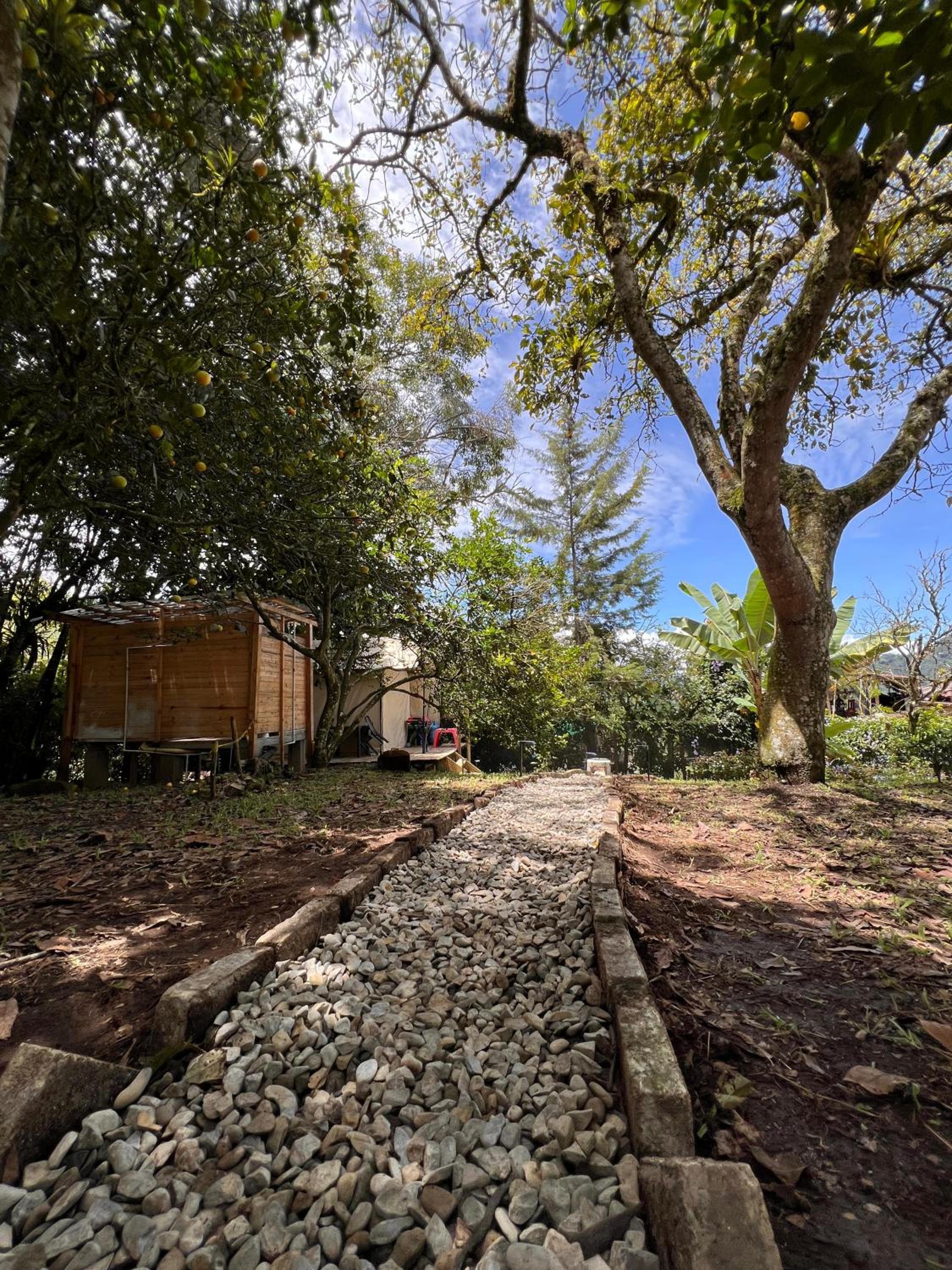 Cabaña & glamping para grupos de 4 a 6 personas, cerca al parque y con avistamiento de aves