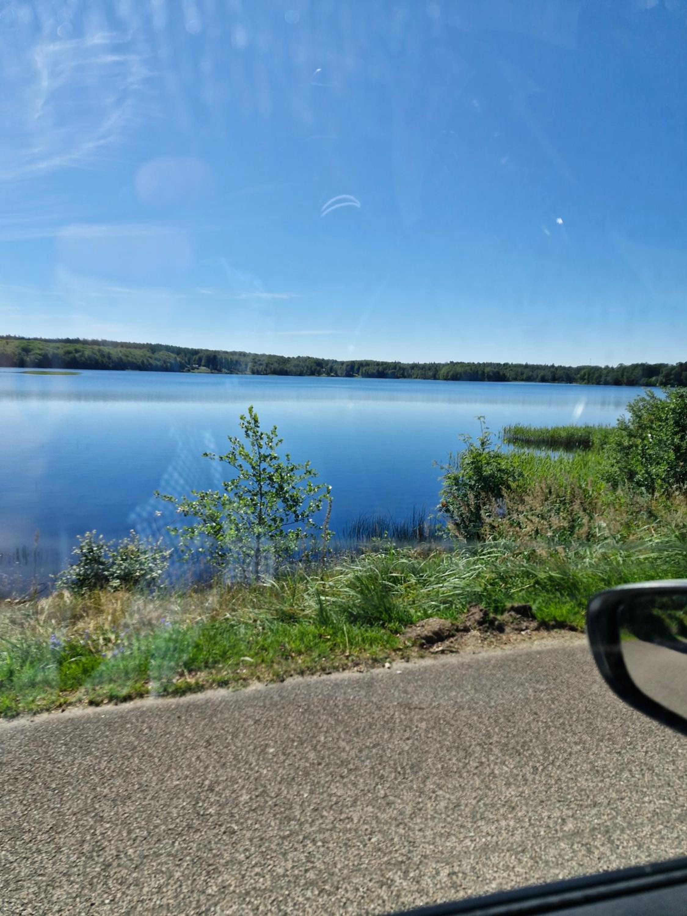 fågel