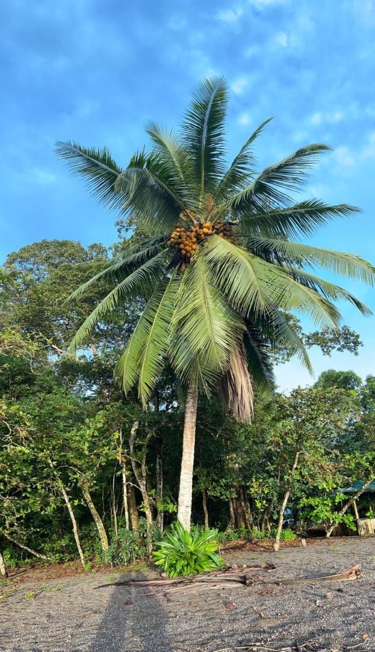 Pacific Breeze Lodge