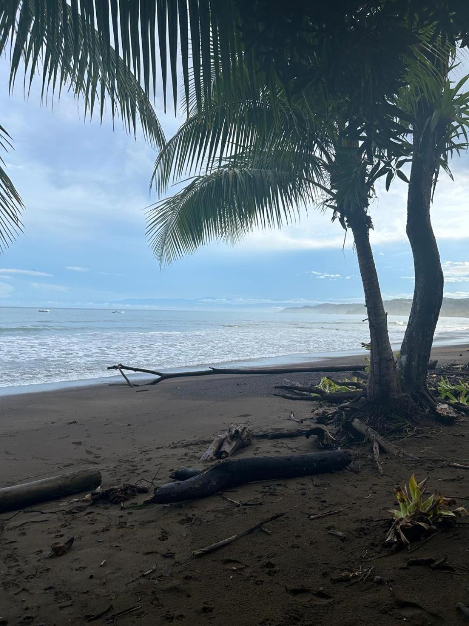 Pacific Breeze Lodge
