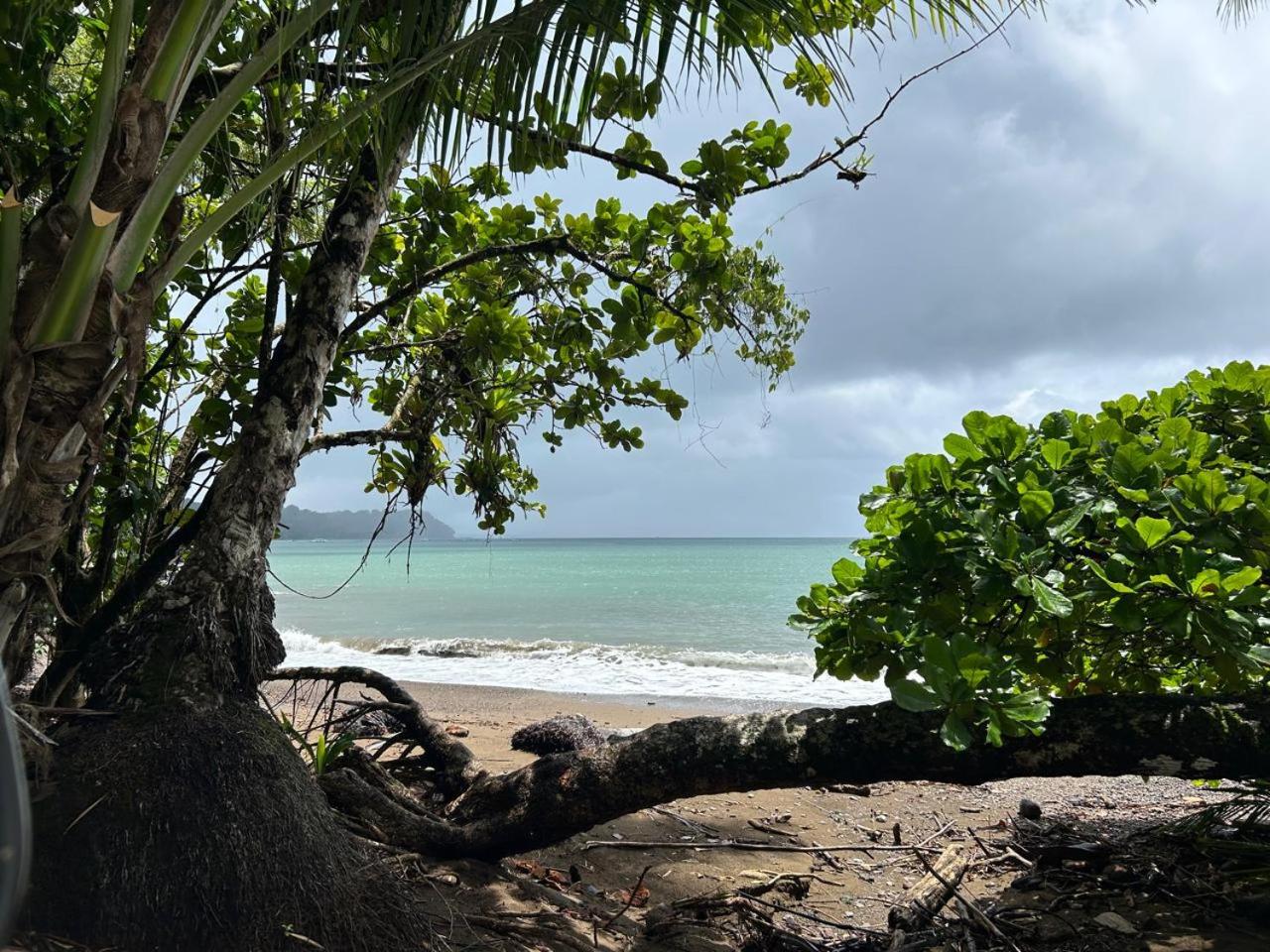 Pacific Breeze Lodge