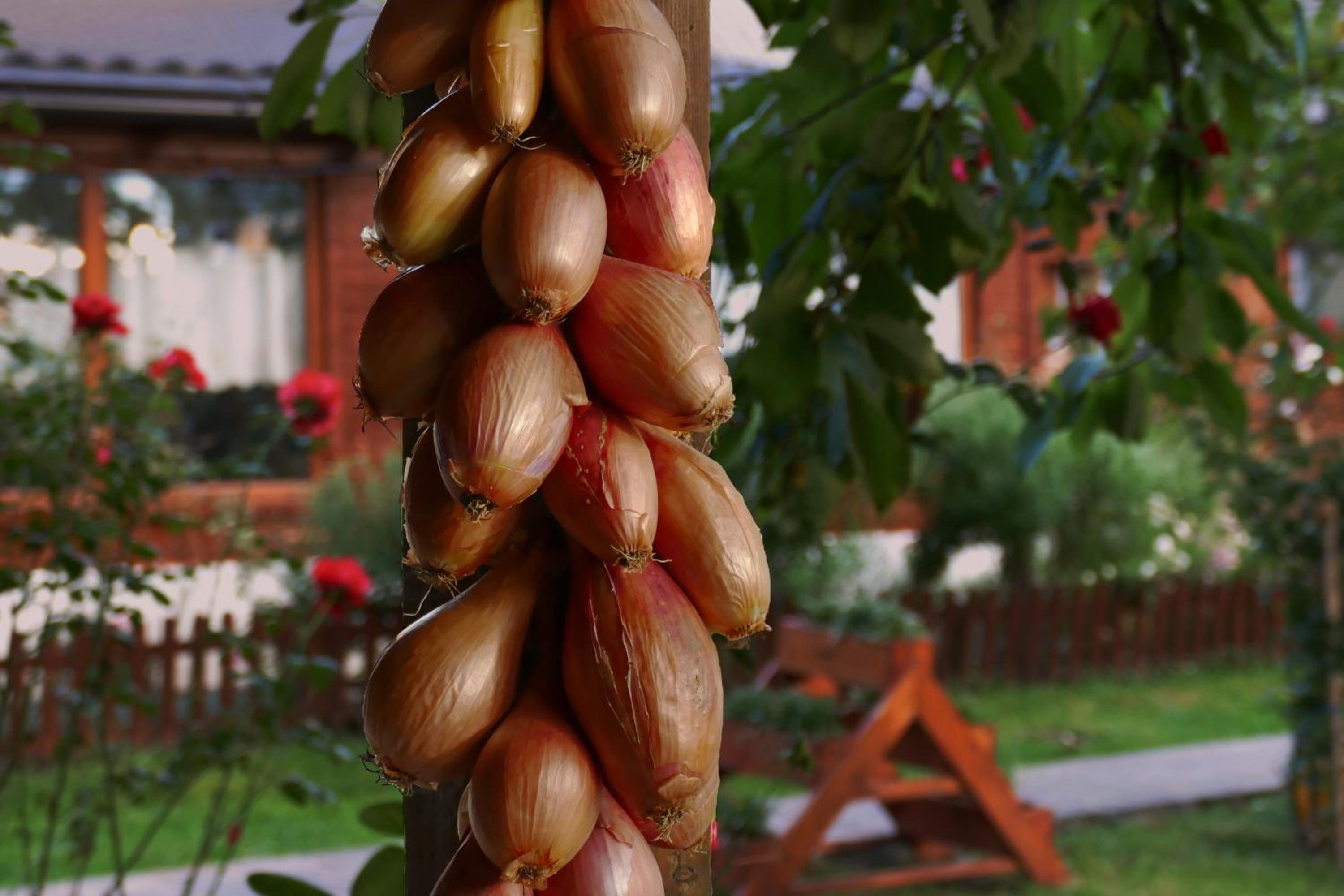 Pensiunea Tiplea