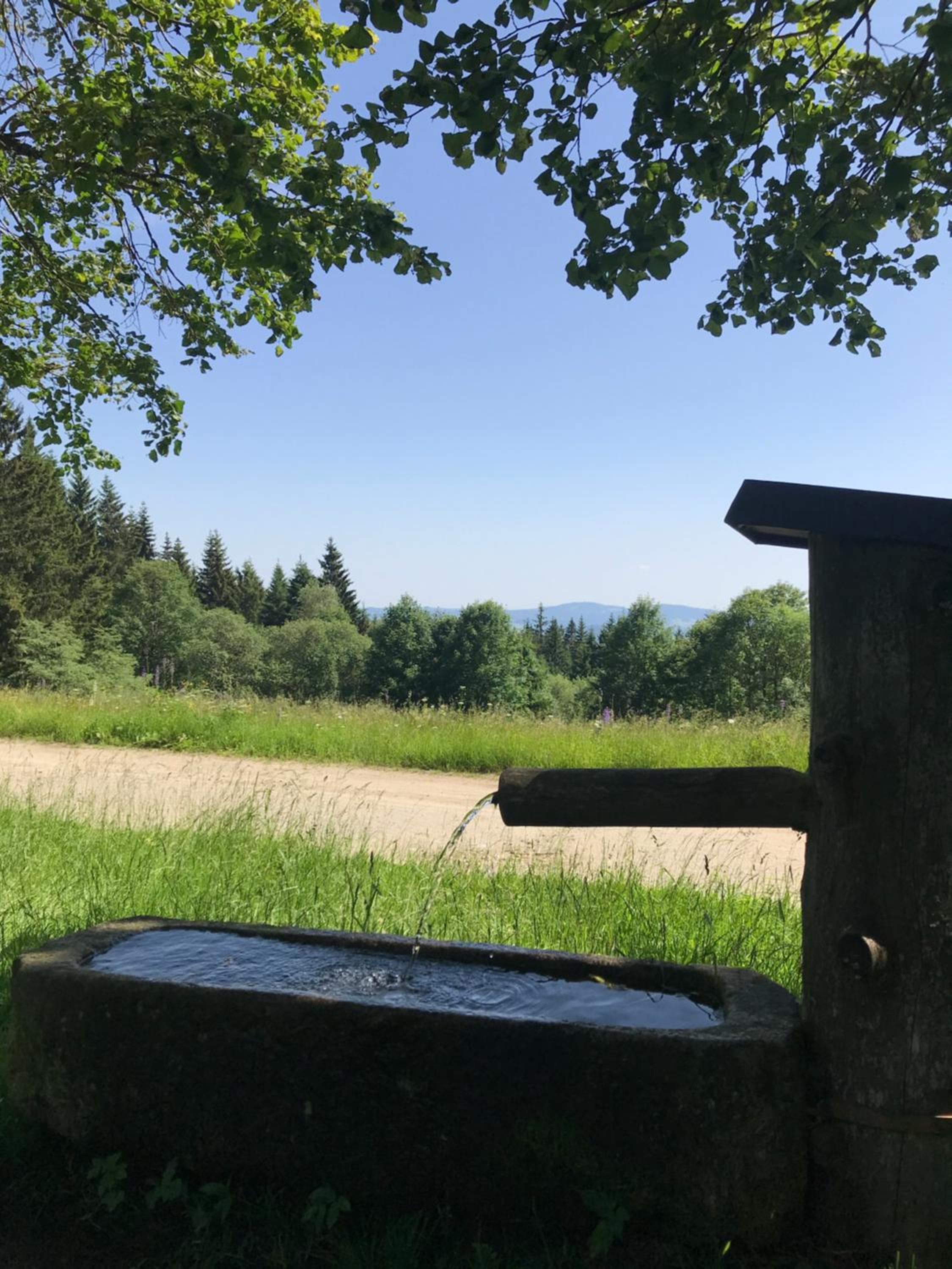 Zur neuen Post Landgasthof