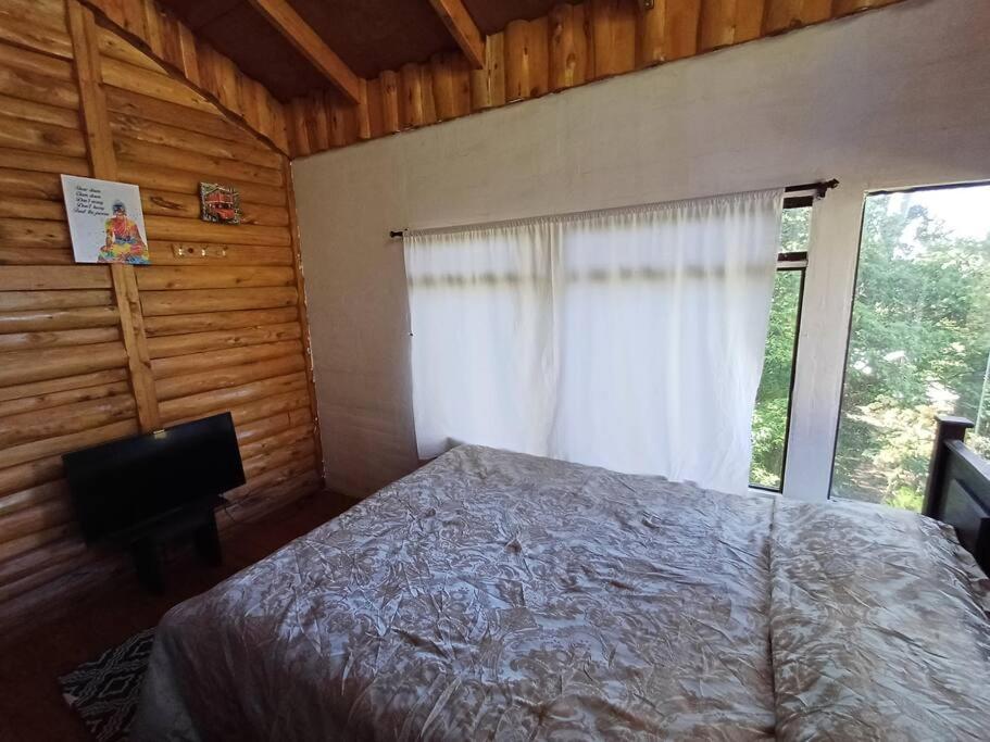 Cabaña Bosque Encantado - A Classic Paradise!