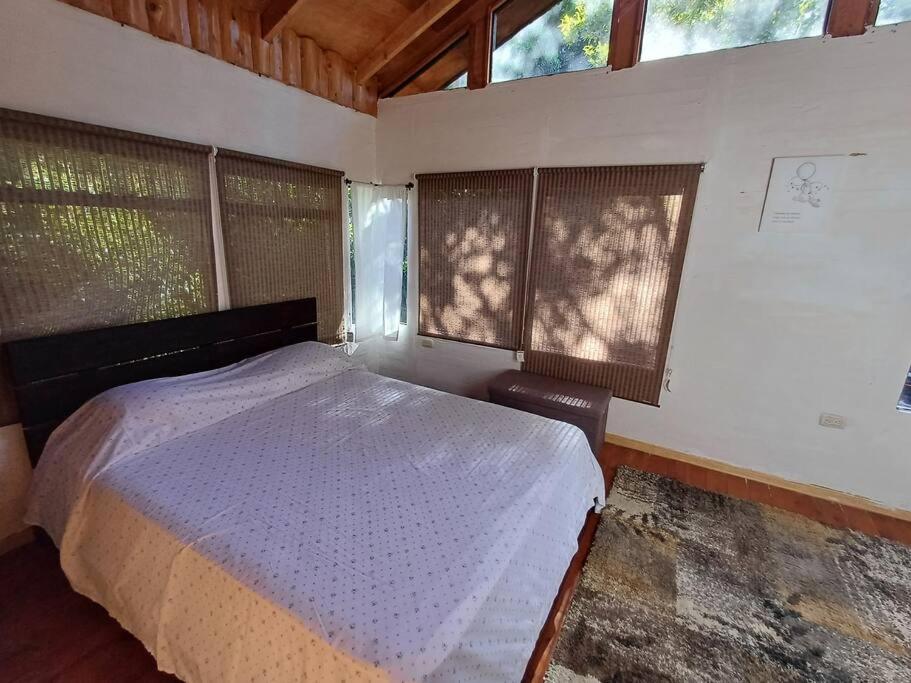 Cabaña Bosque Encantado - A Classic Paradise!