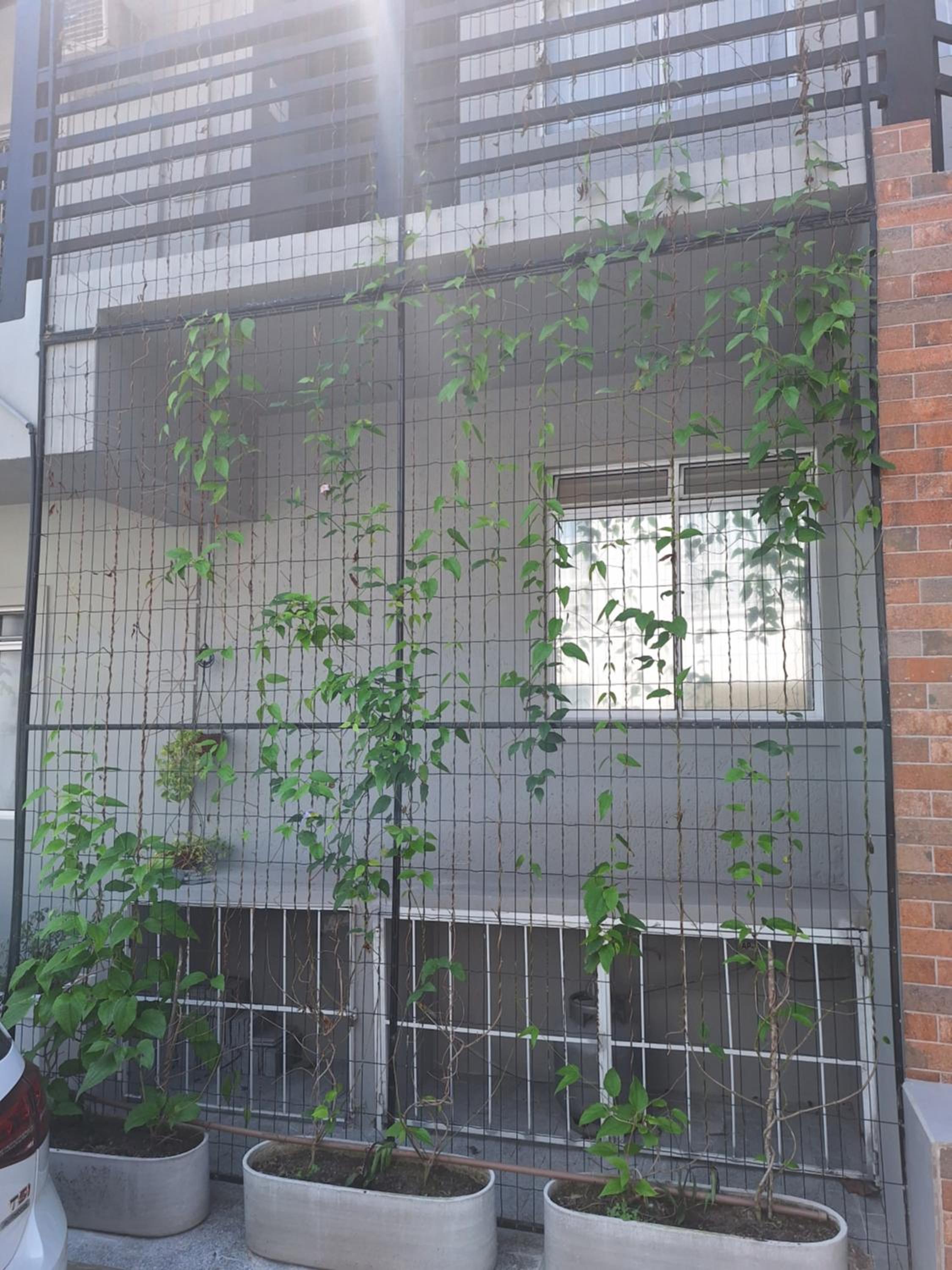 Apartamento Floripa 16 - Próximo Ao Centro, UFSC, Aeroporto e Praias