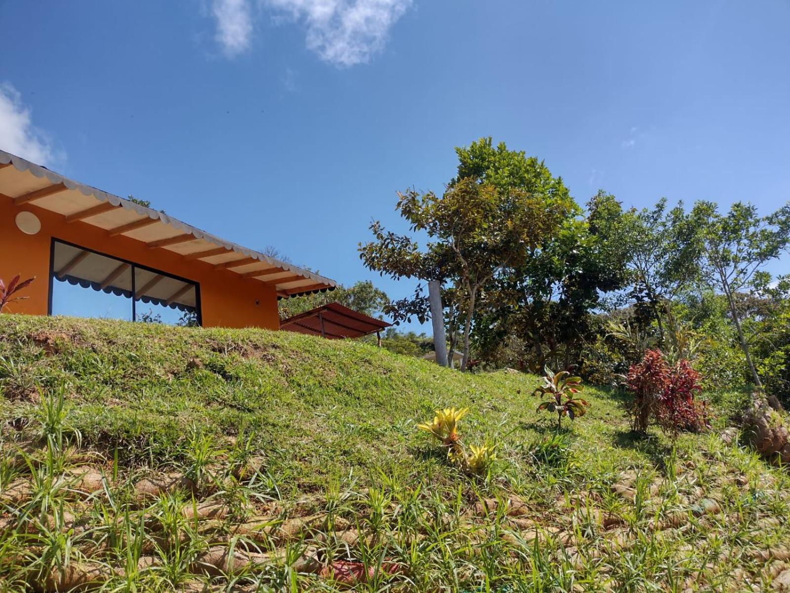 fonda hotel el aguacate