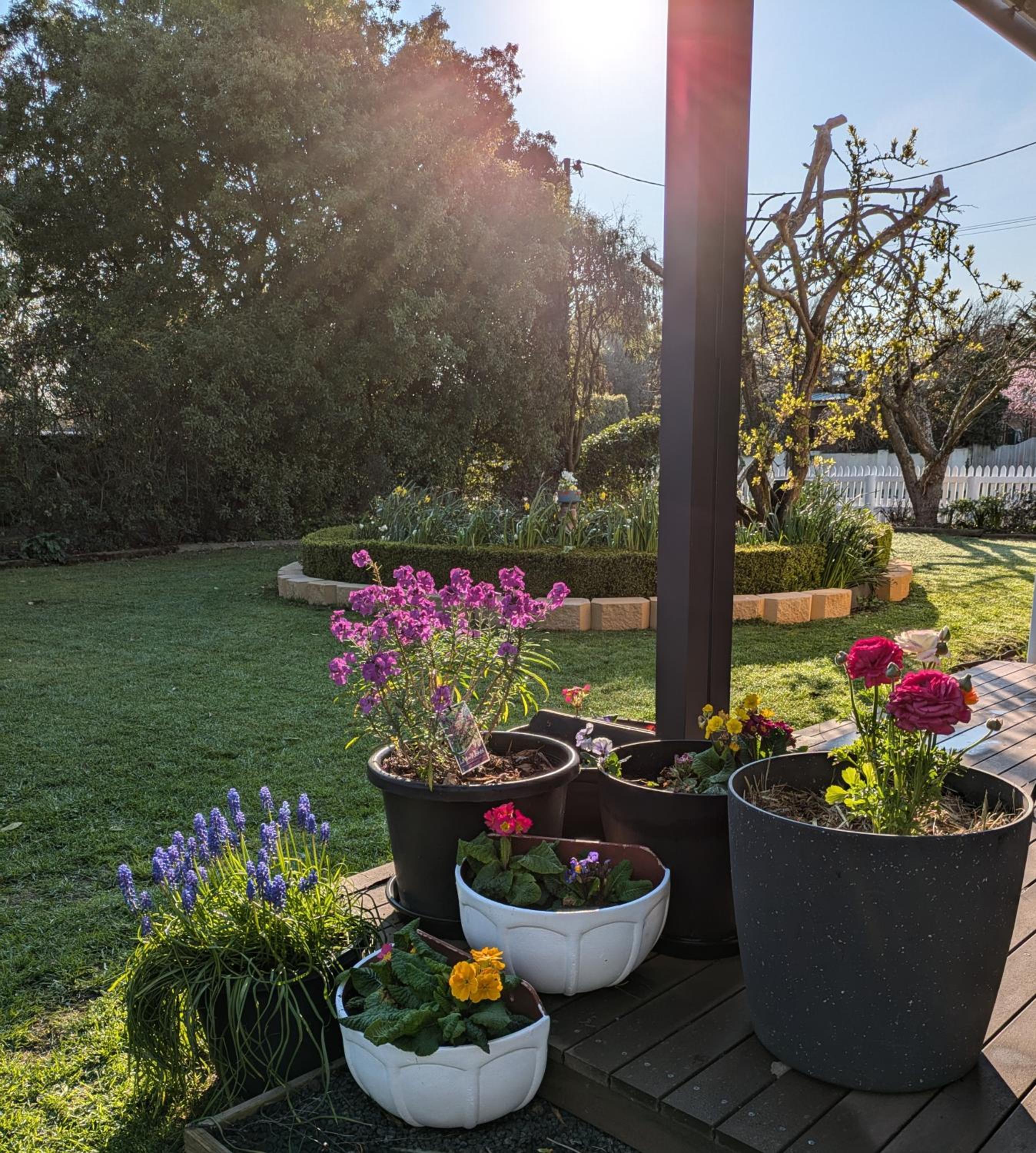 Bellamona Cottage Longford
