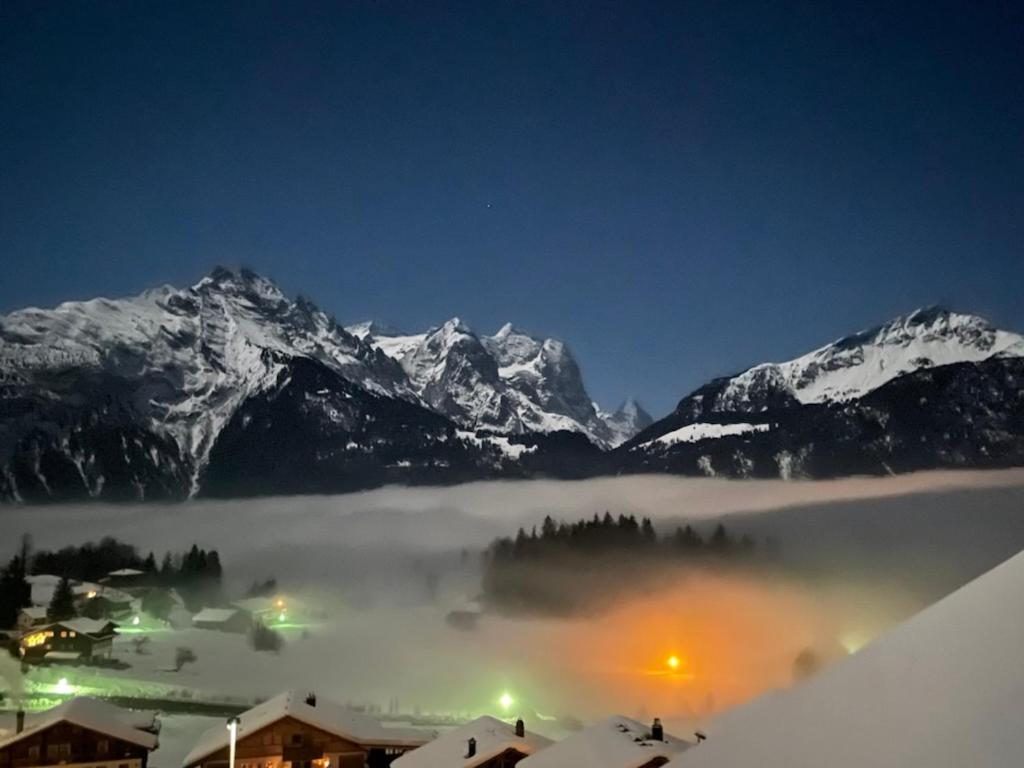Ferienwohnung im Chalet Bergruh - Hasliberg Reuti