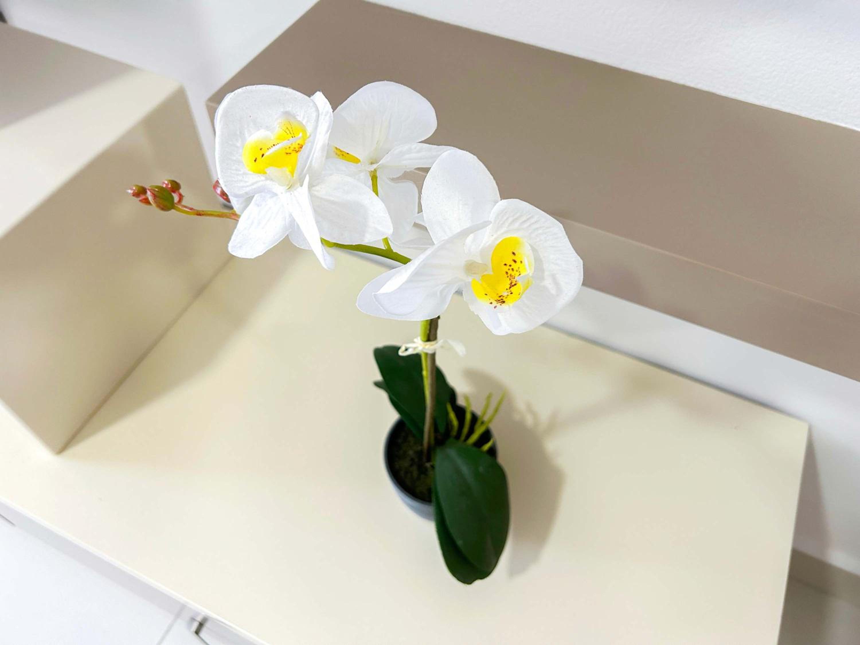 Villa Exceptional 832 photo 4