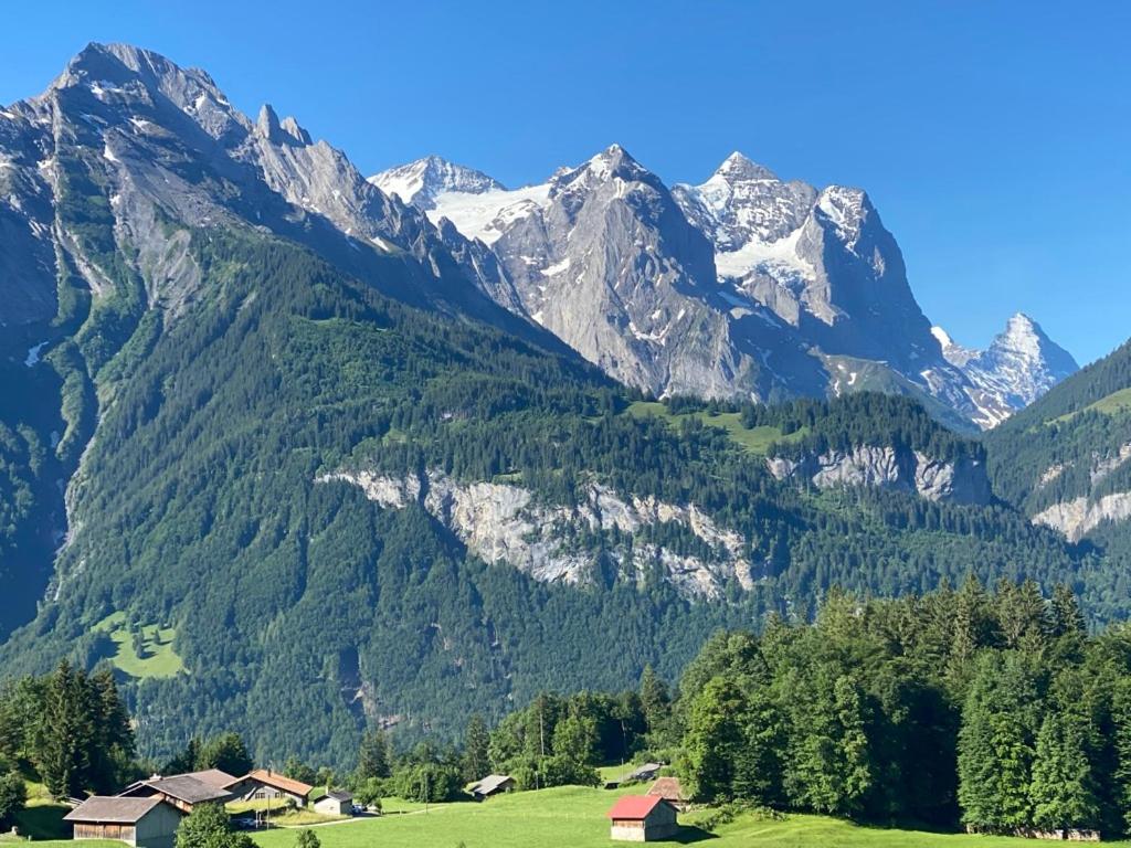 Ferienwohnung im Chalet Bergruh - Hasliberg Reuti