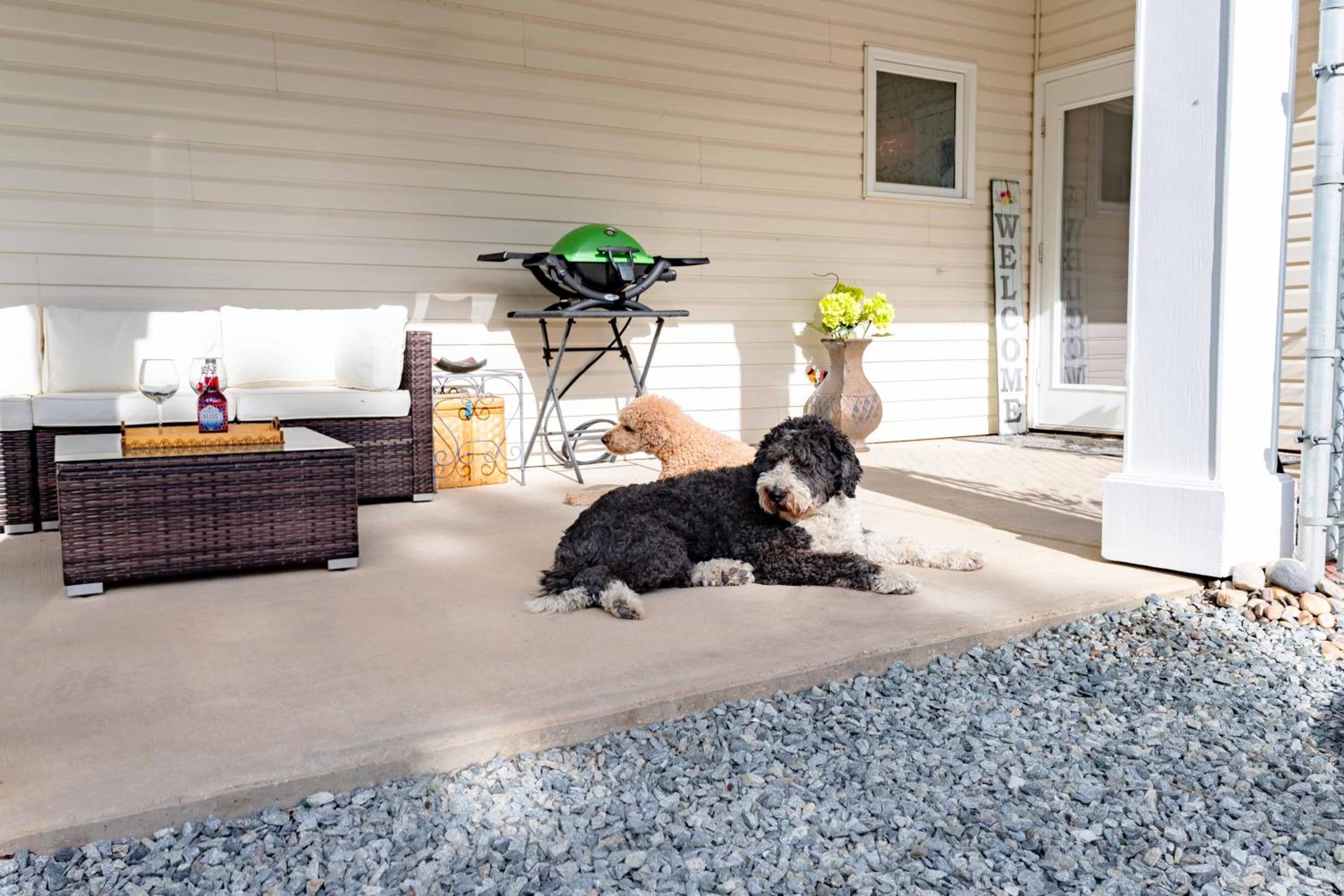 Licensed Pet Friendly Suite on Haskap Farm