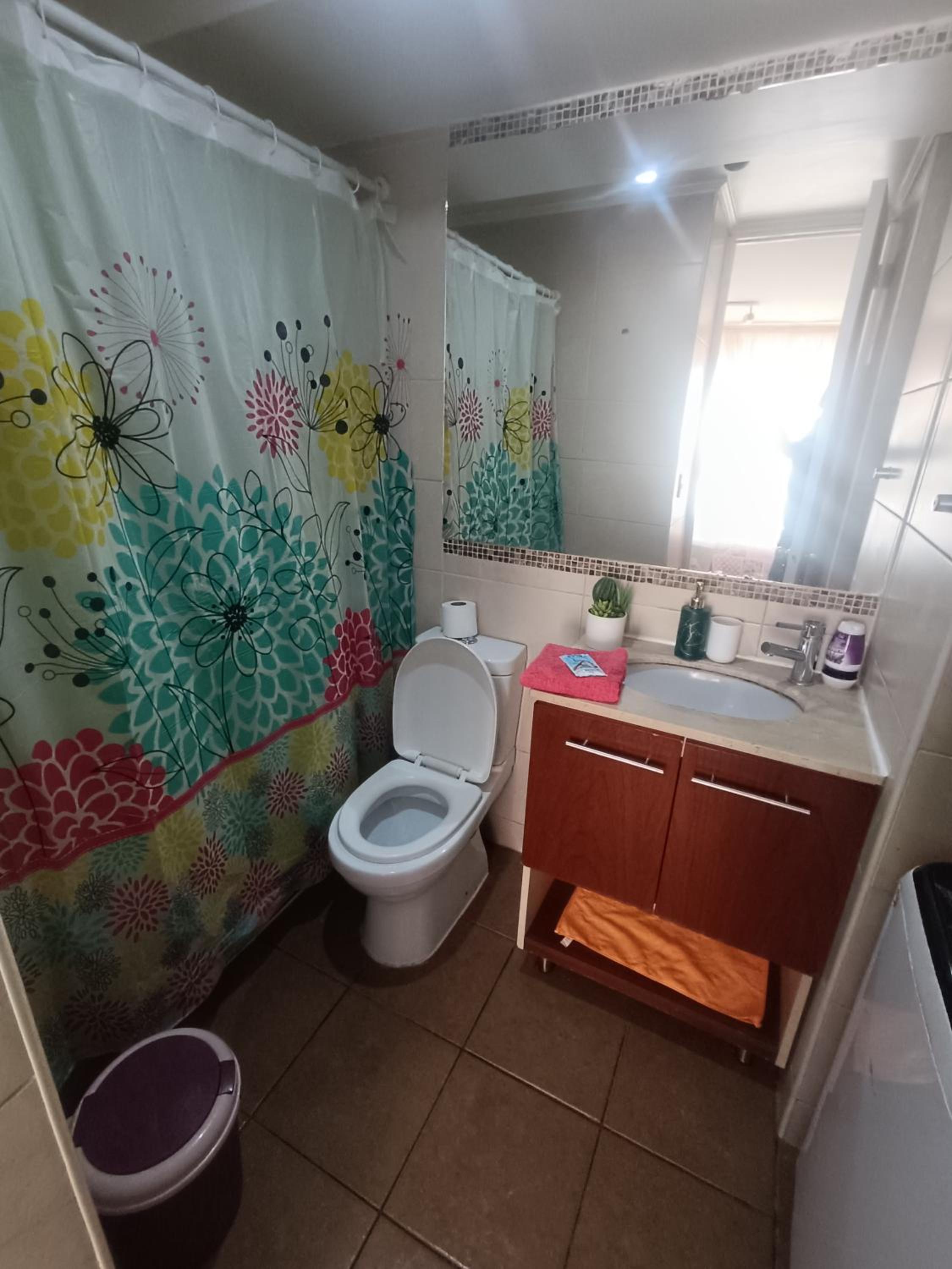Andina suite 4