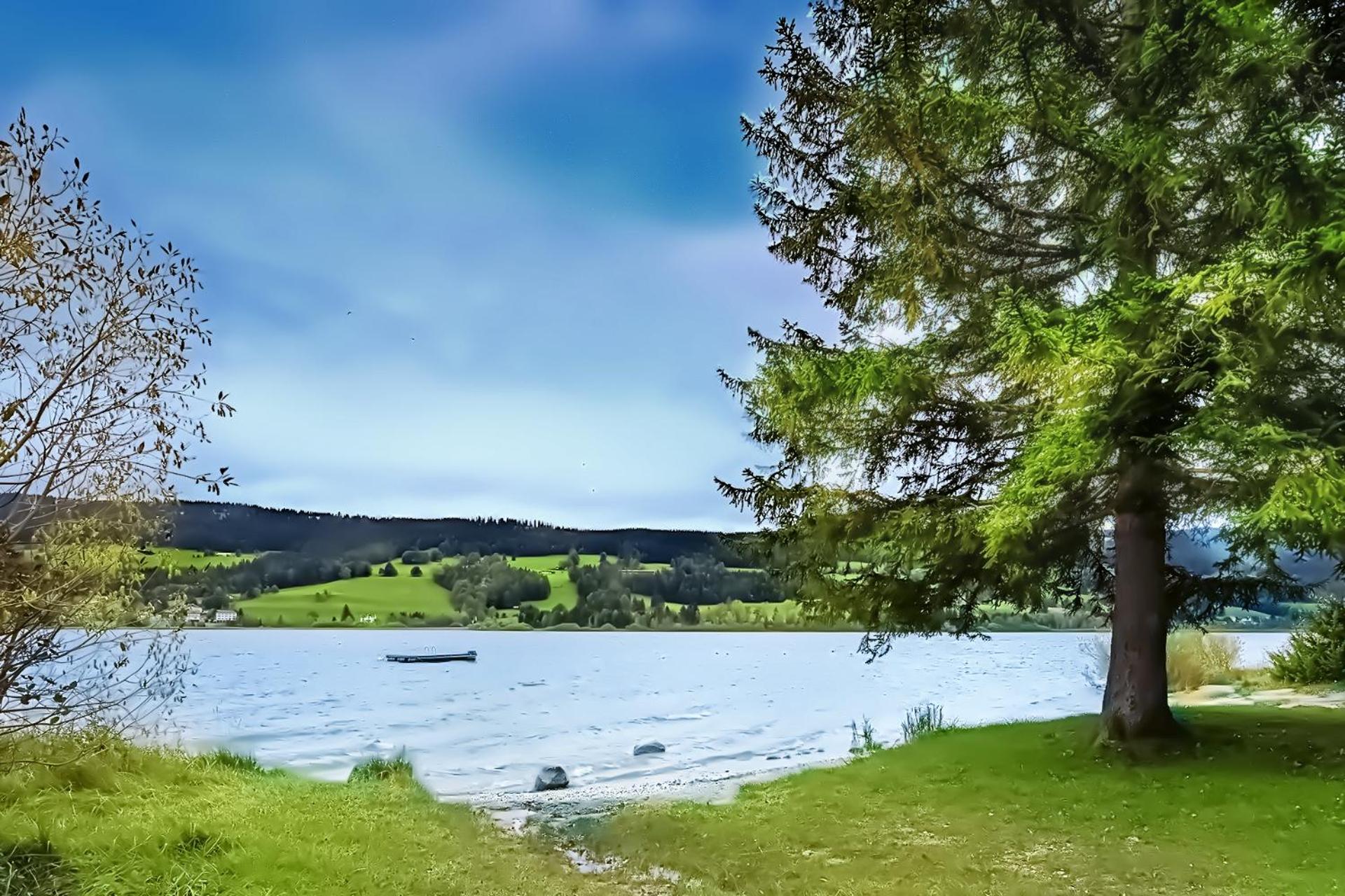 Le bananier sur le lac avec terrasse et parking privé