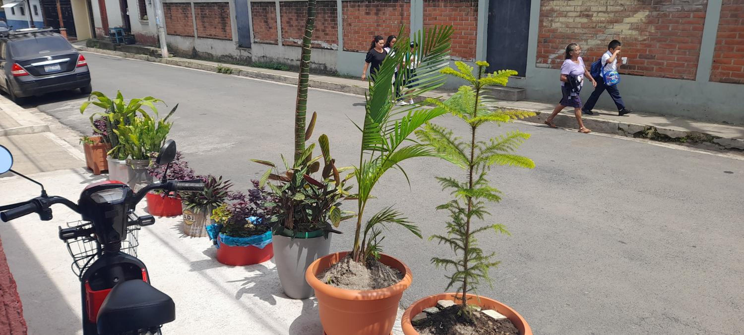 Photo 35