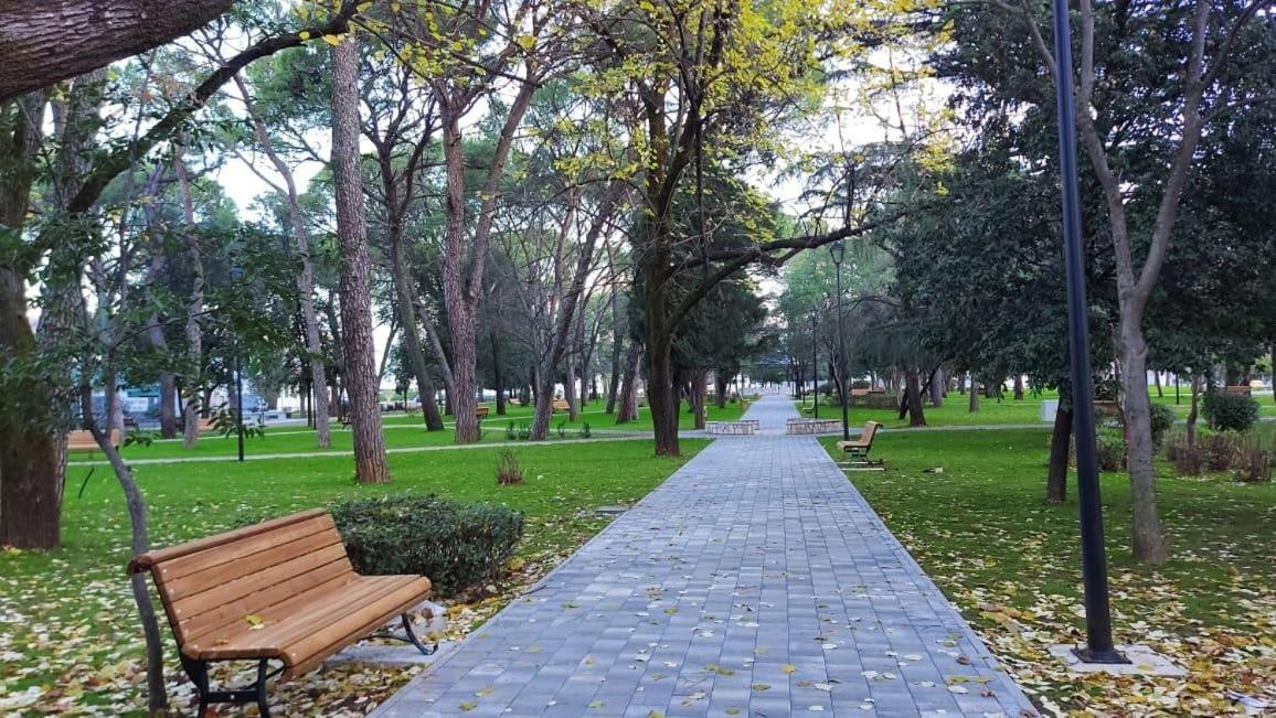 Apartment Centar
