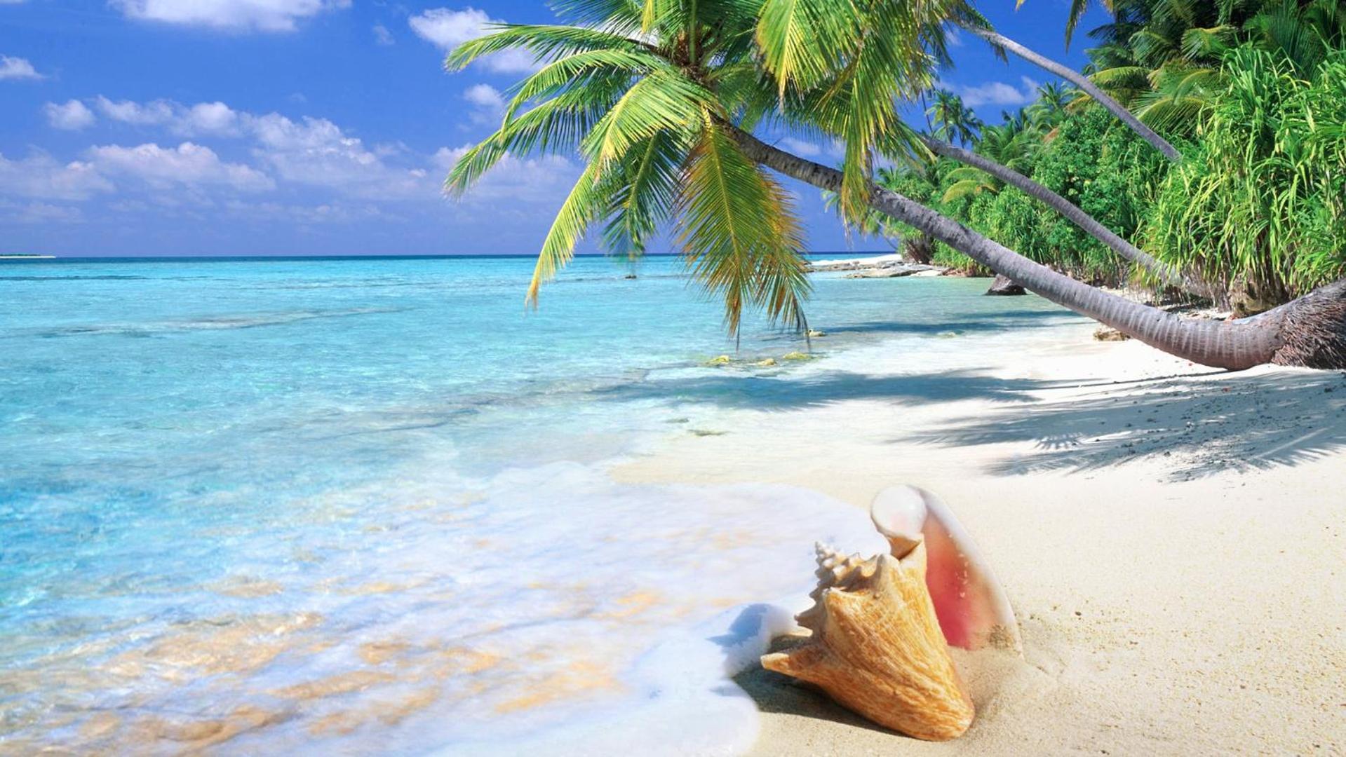 CORAL VILLAS Private Beach Resort and Spa