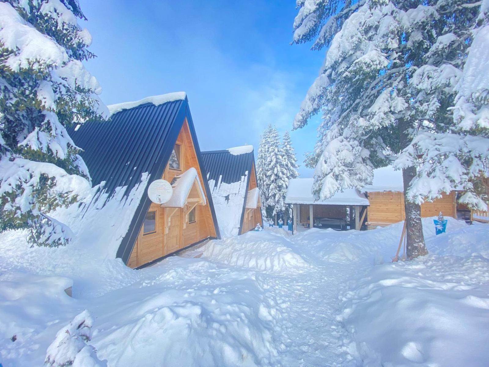 ZLATARSKA IDILA